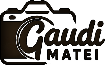 gaudimatei.wfolio.pro