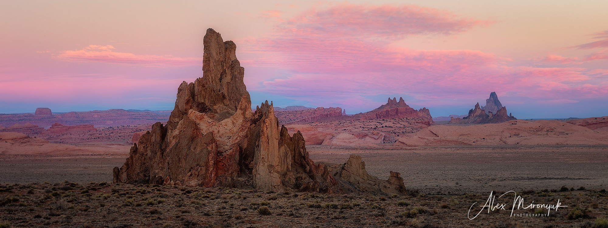 Tours and Workshops Schedule. Pet, Senior, Landscape, portrait studio, photographer in Miami and Sou