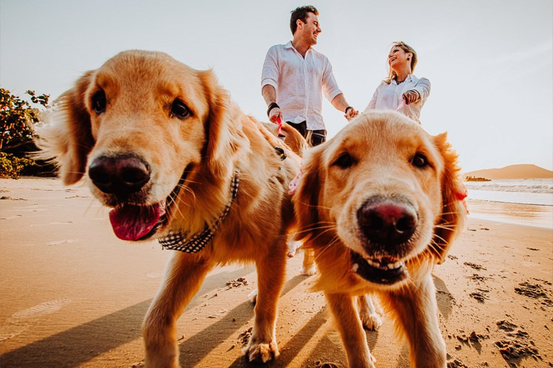 Ensaio Pré-Wedding: 4 Dicas Essenciais para Fotos Naturais e Cheias de Emoção