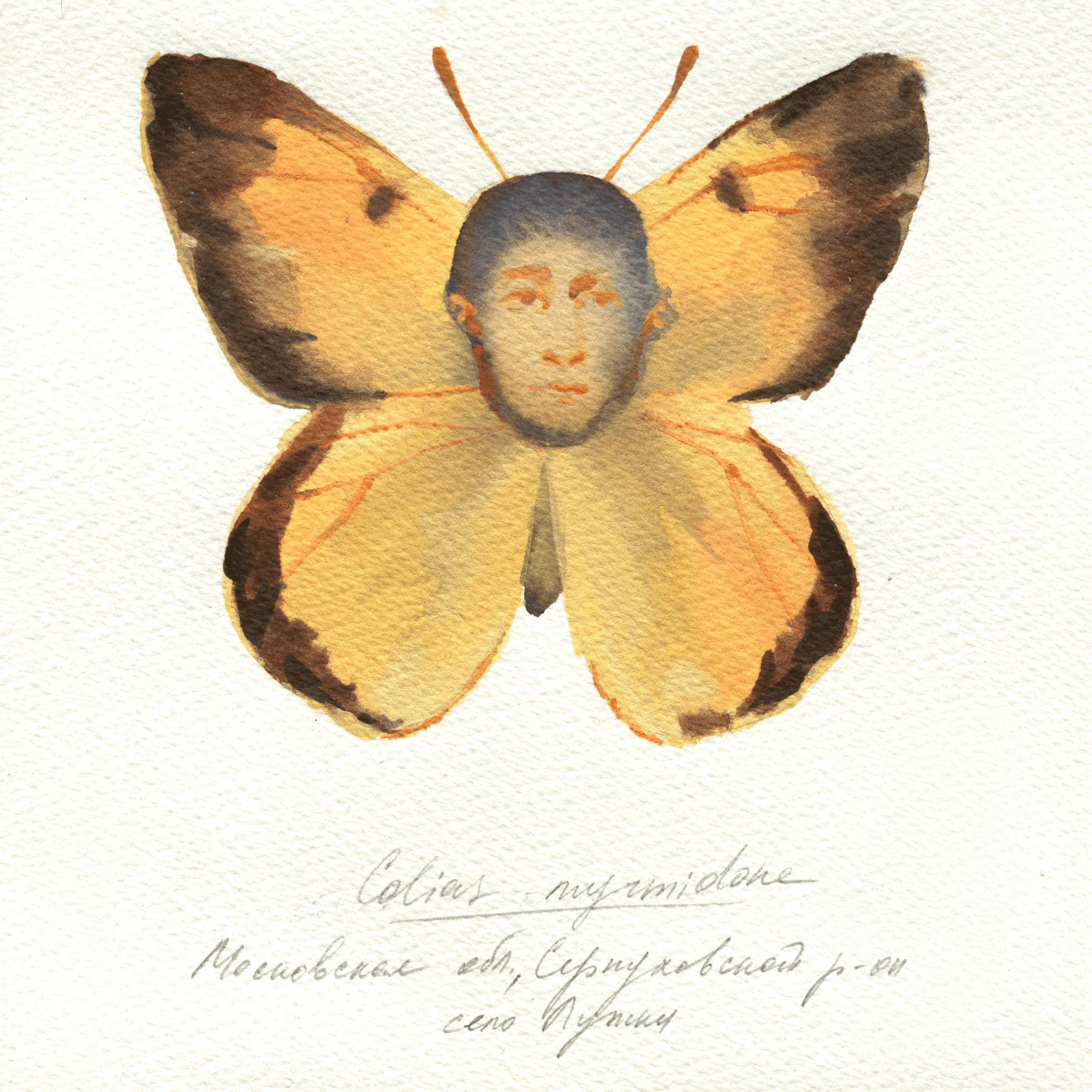 Filing System. Alina Kugush