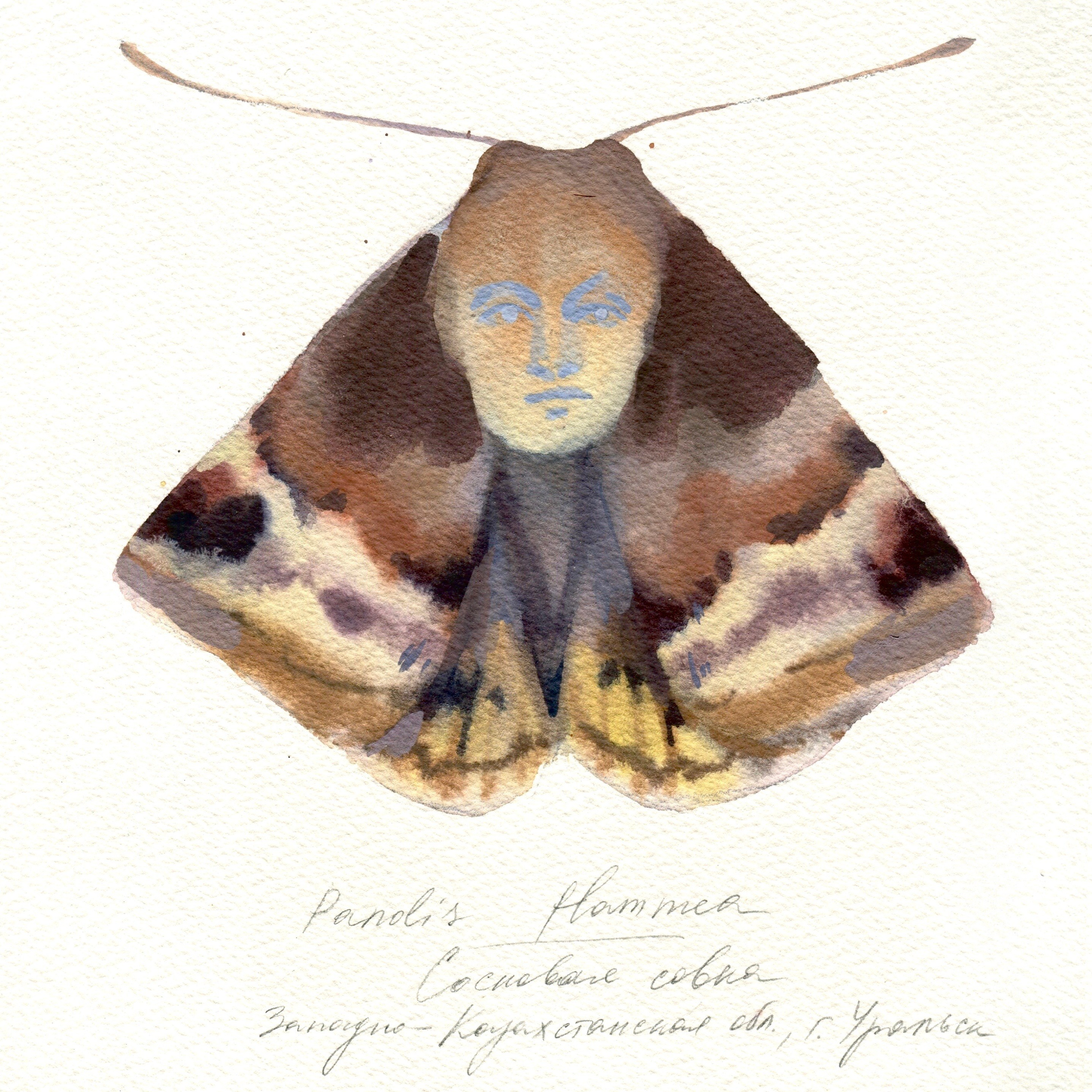 Filing System. Alina Kugush