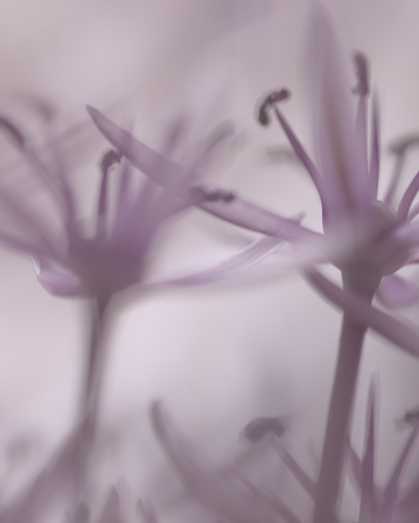 Natalja Poplavska — Visual artist, Photographer, East Sussex, London