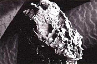 Уход и хранение парикмахерских ножниц. Мастер по заточке и реставрации инструментов