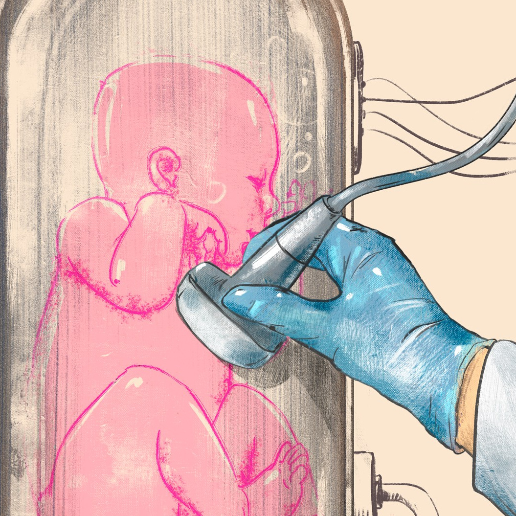 Professional freelance medical illustrator