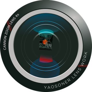 yaosonerlenswork.com