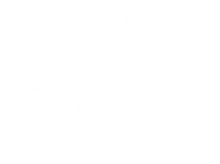 stasyastars.wfolio.pro