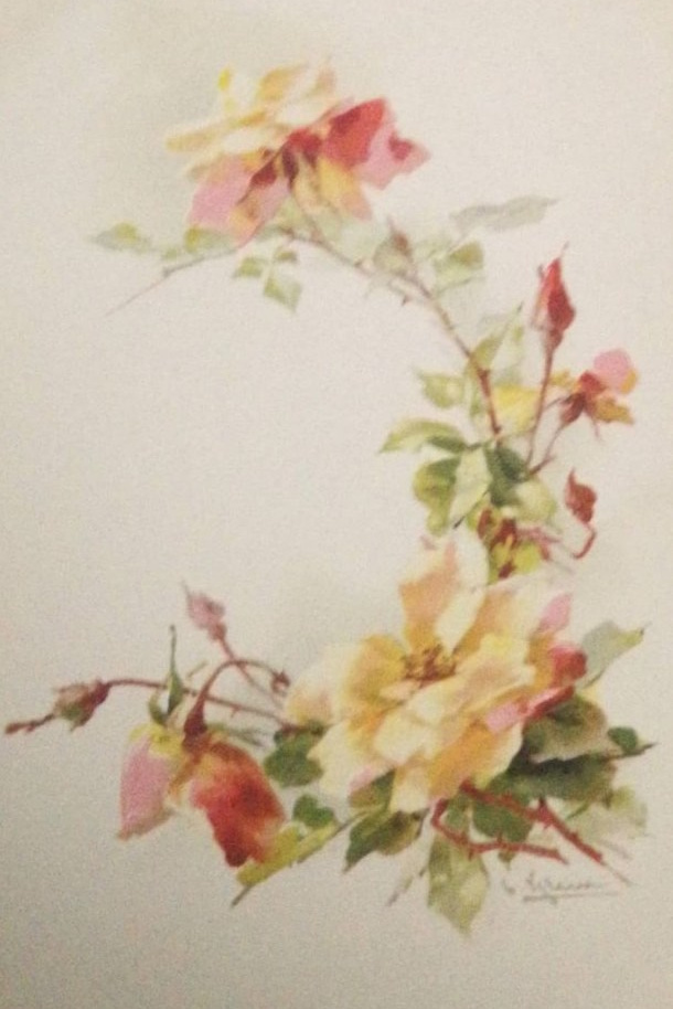 Vintage-Postkarten – Stillleben von Catharina Klein. Fotografin, Sammlerin von Vintage-Postkarten und Schöpferin von Geschichten an der Schnittstelle zwischen Vergangenheit und Persönlichem. Ir