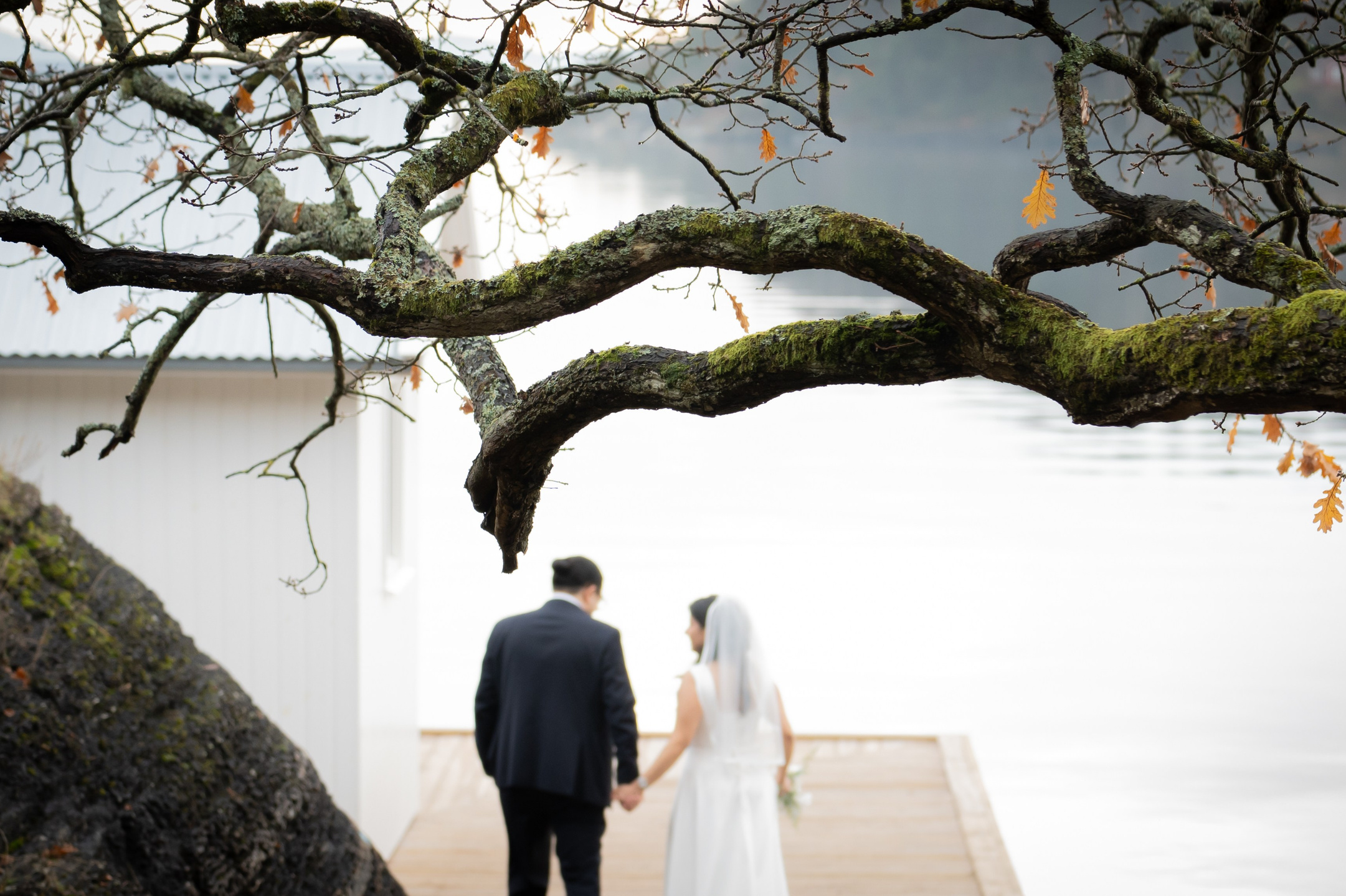 bryllupsfotograf i Porsgrunn, MuleVarde, brudeparet spaserer til stranda.