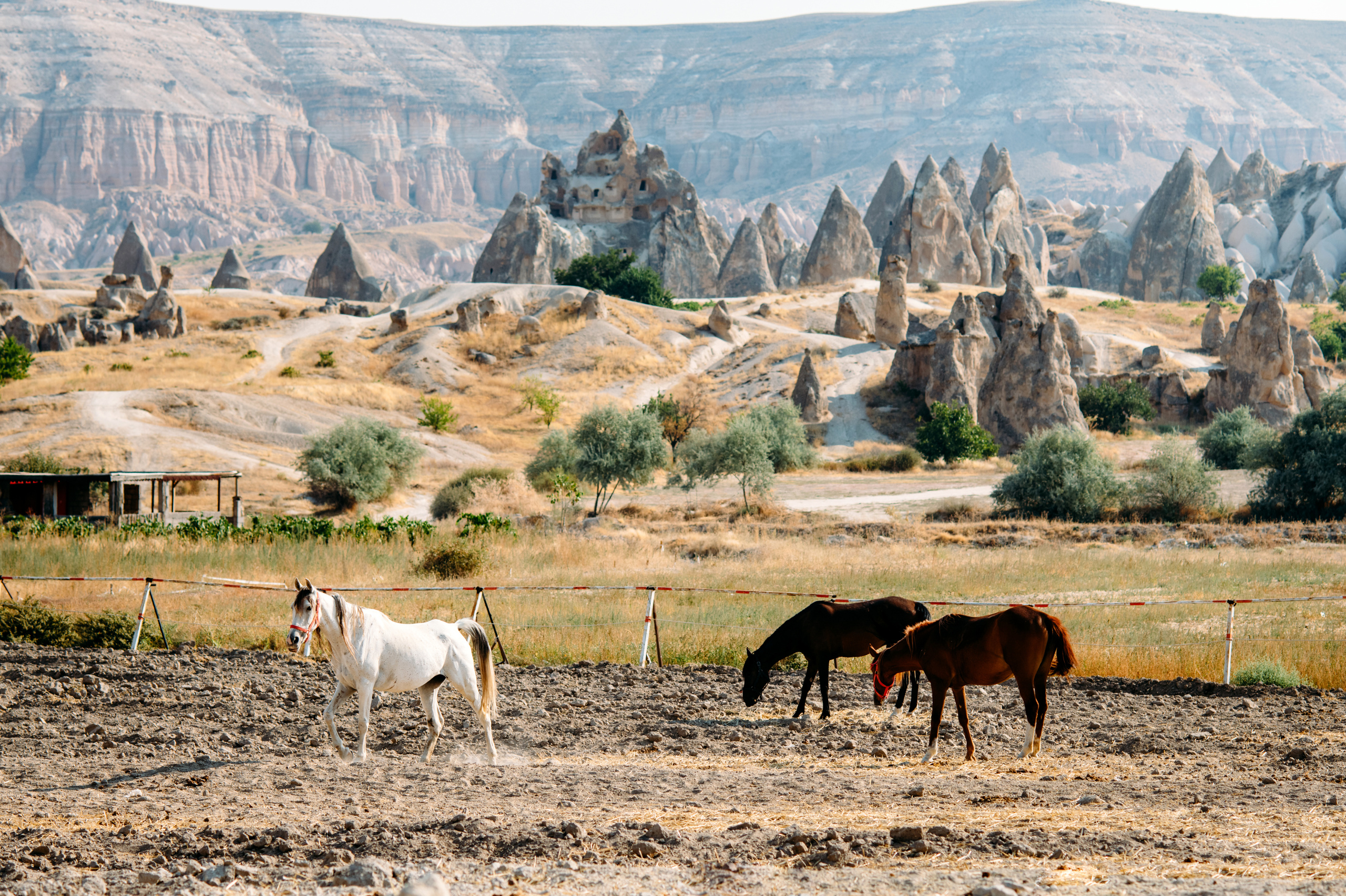 Wedding family photographer Alicante Benidorm Valencia Costa Blanca