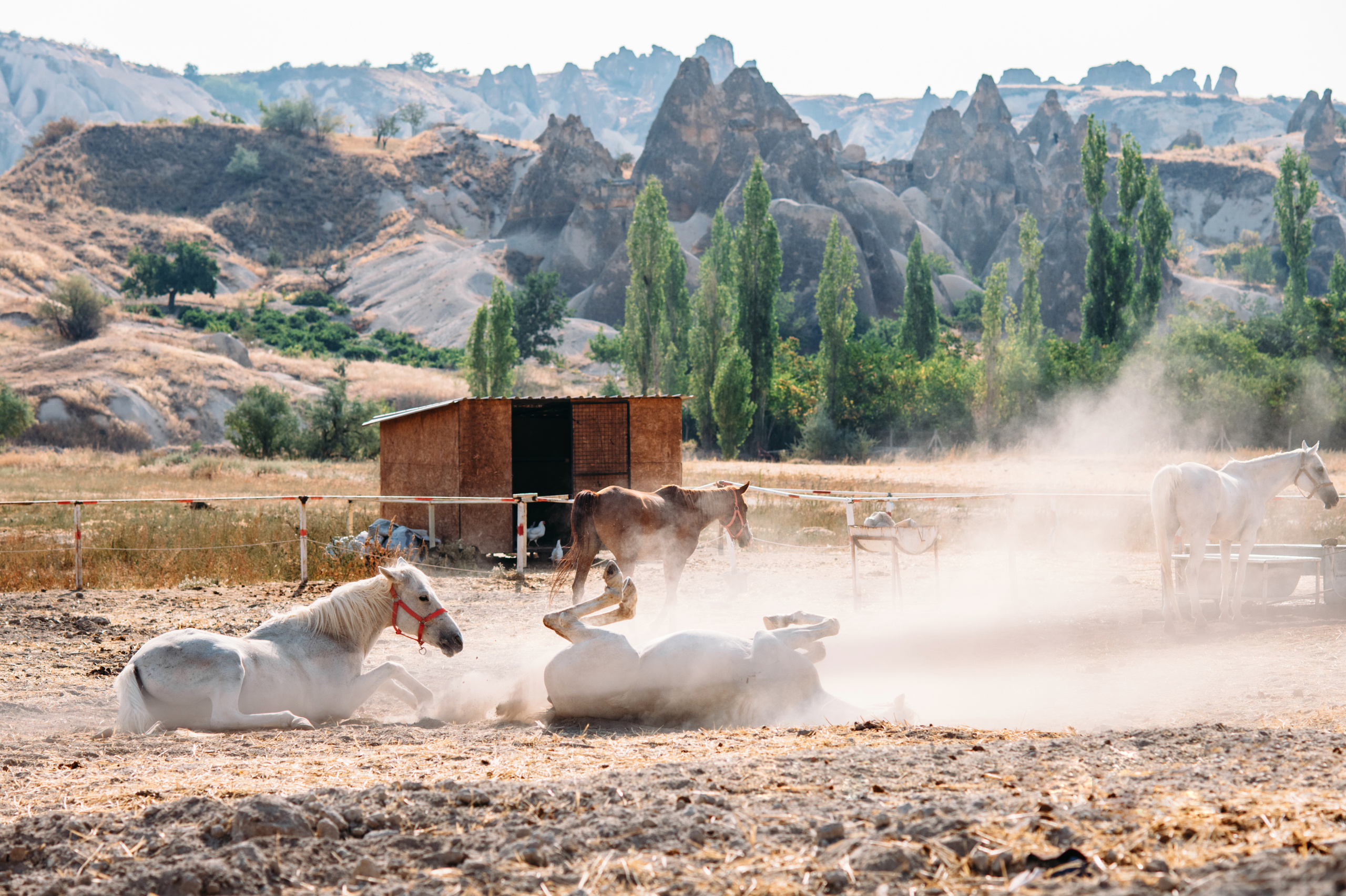 Wedding family photographer Alicante Benidorm Valencia Costa Blanca