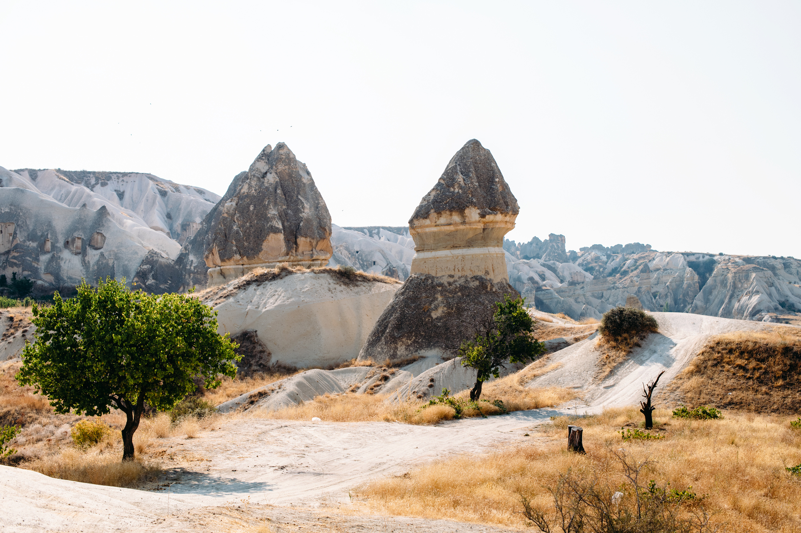 Wedding family photographer Alicante Benidorm Valencia Costa Blanca