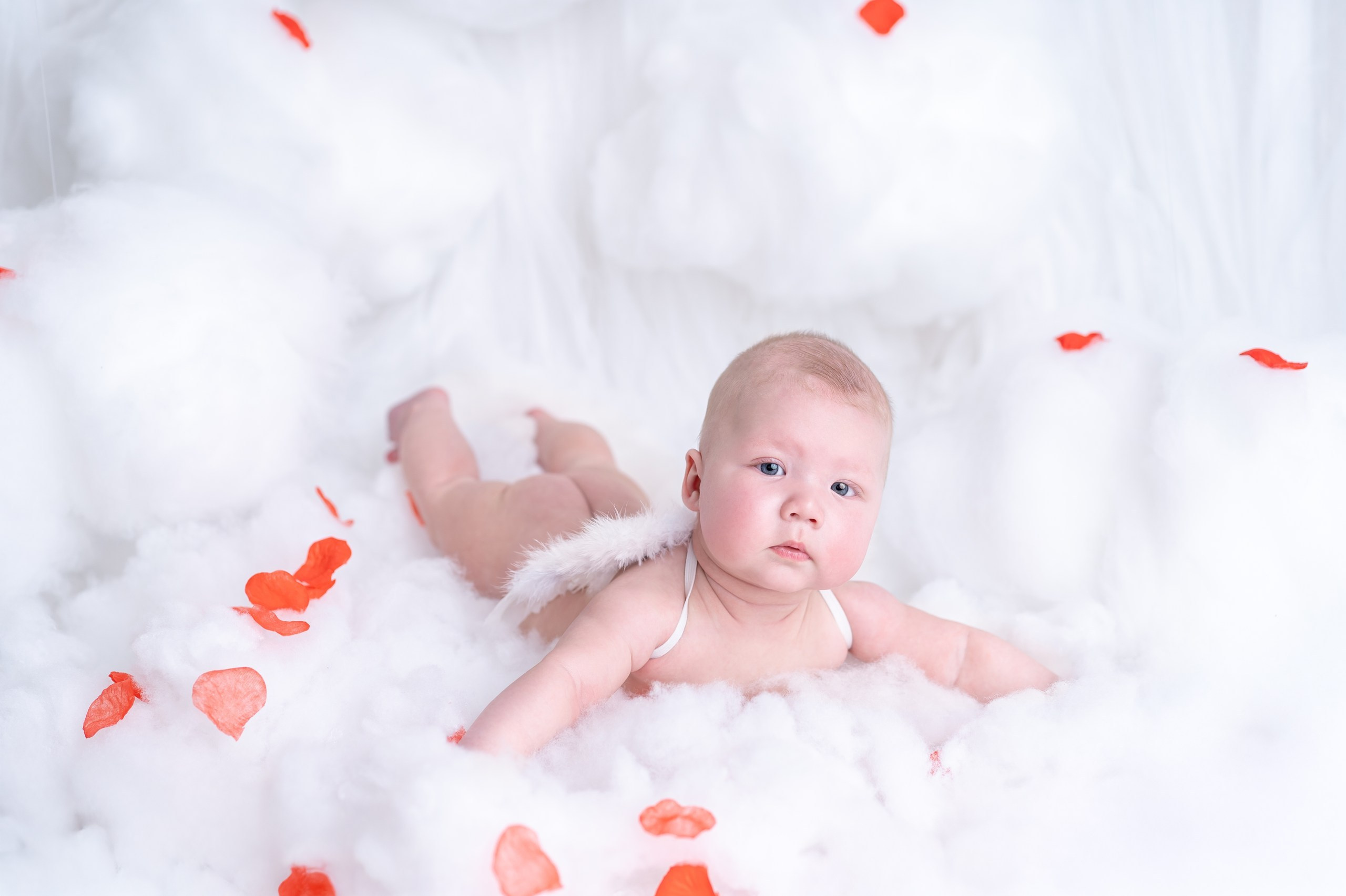 Fotoshooting-Pakete & Preise – Neugeborene, Familie, Schwangerschaft
