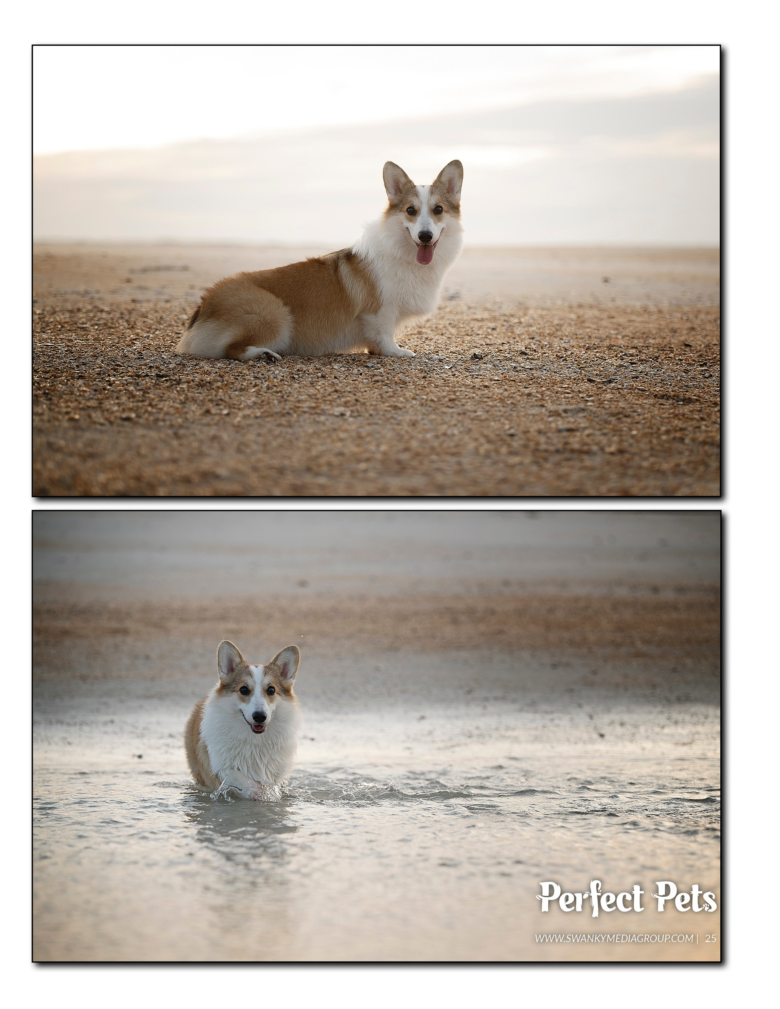 Publications. Katerina Royter Pet Photographer North Florida