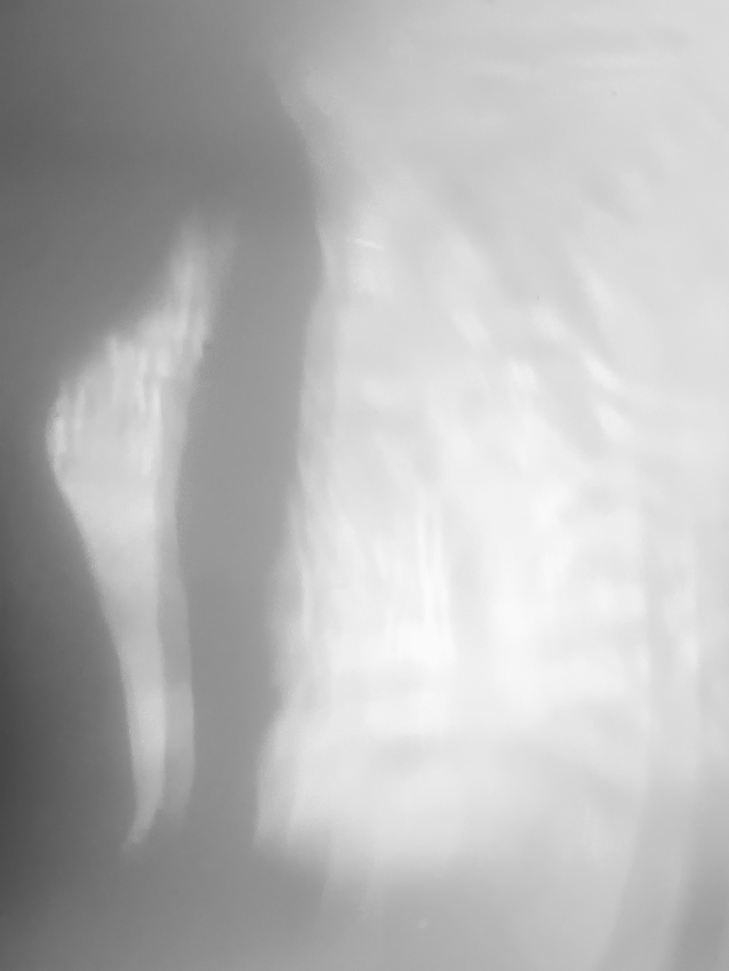 Подводный диалог. Anastasia Shapoval violoniste et photographe. Annecy — Geneve