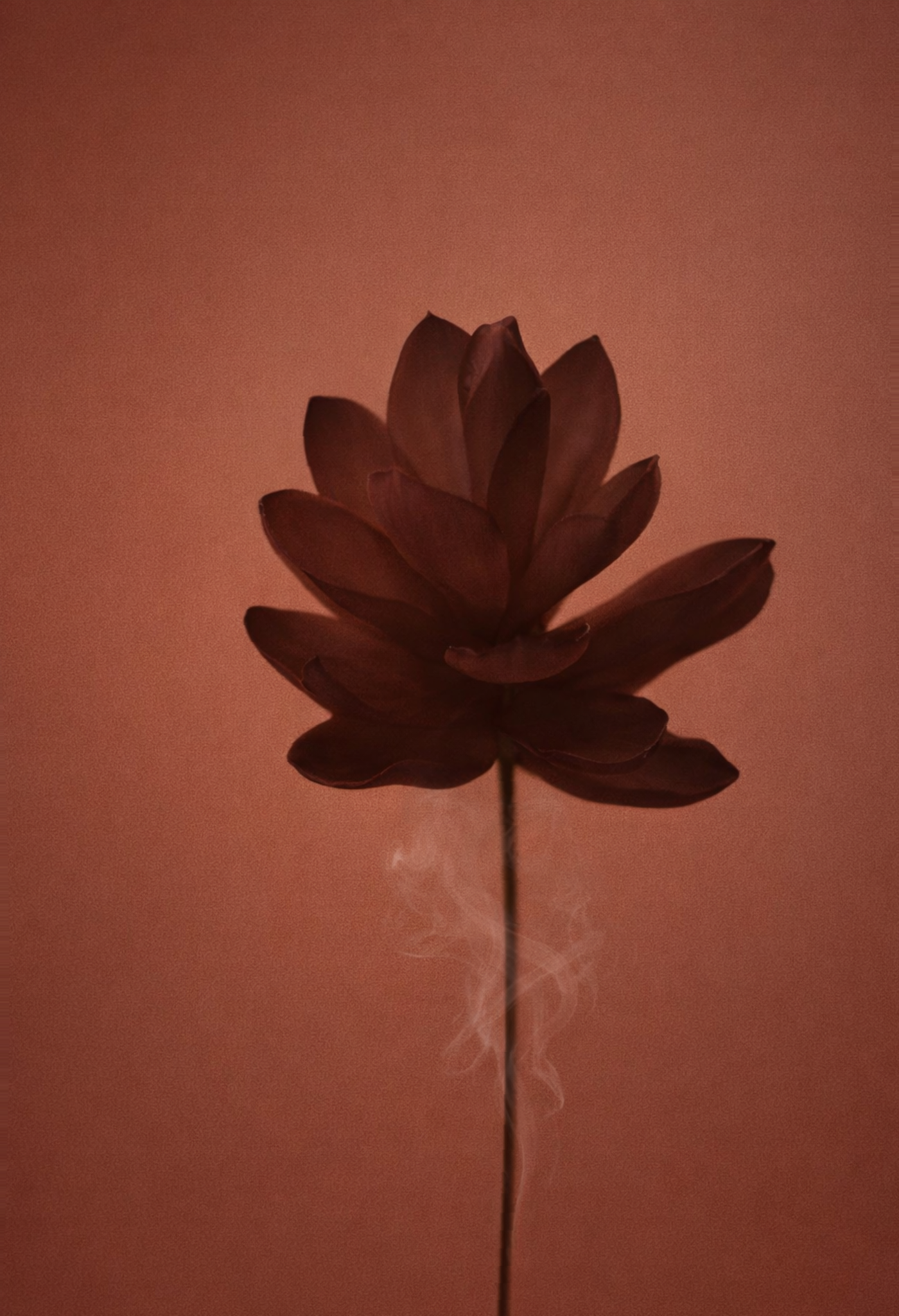 Limited Edition Prints. Photographer in Luxembourg Tanita