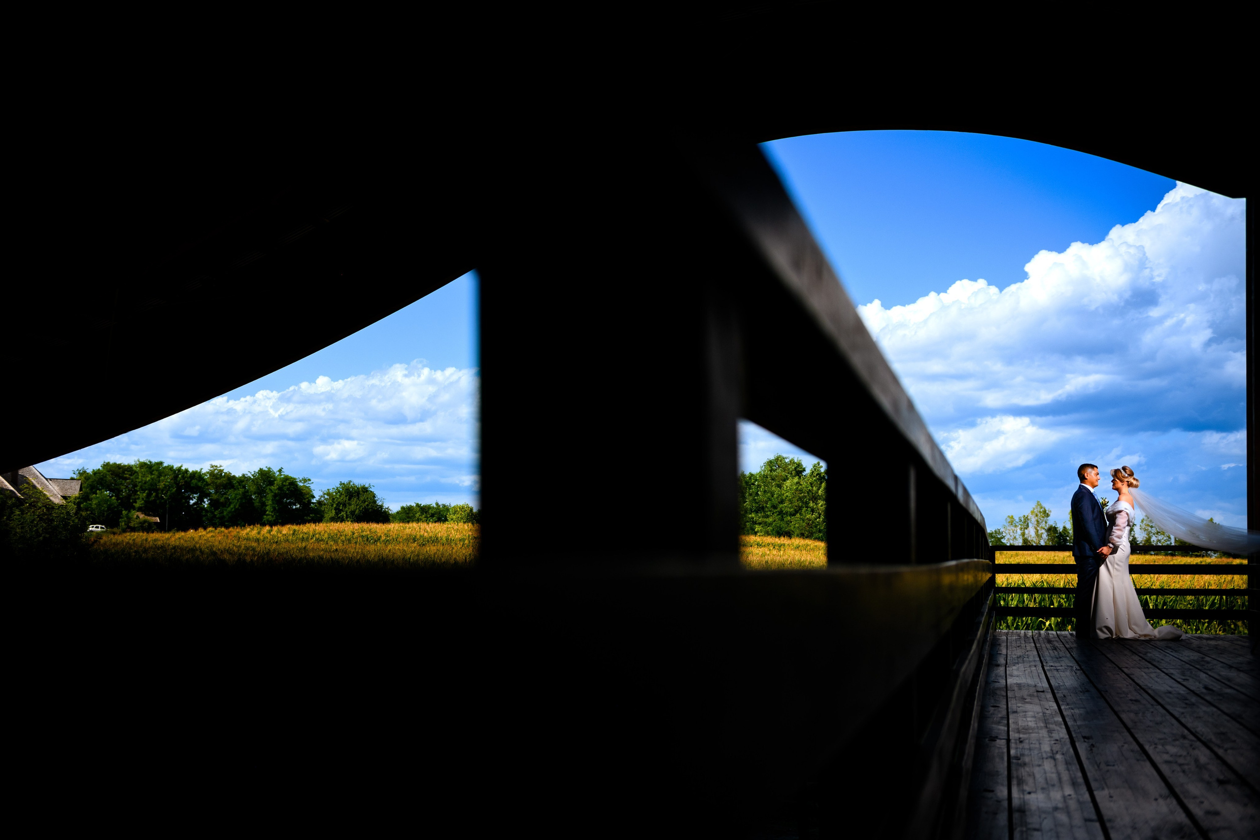 Alin Doana Visual Art