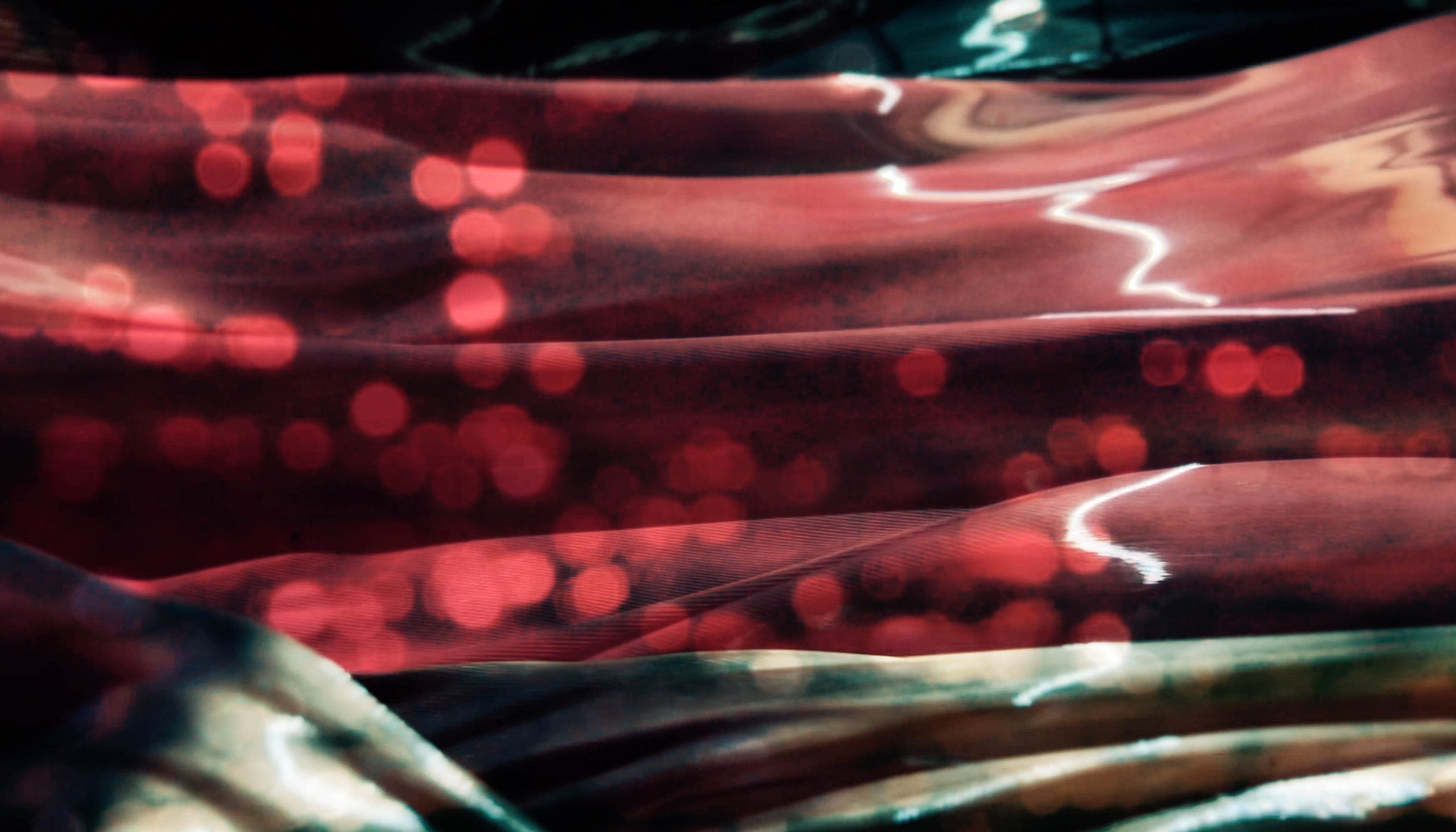 Portfolio. Tanya Kolser — Visual Artist, Director