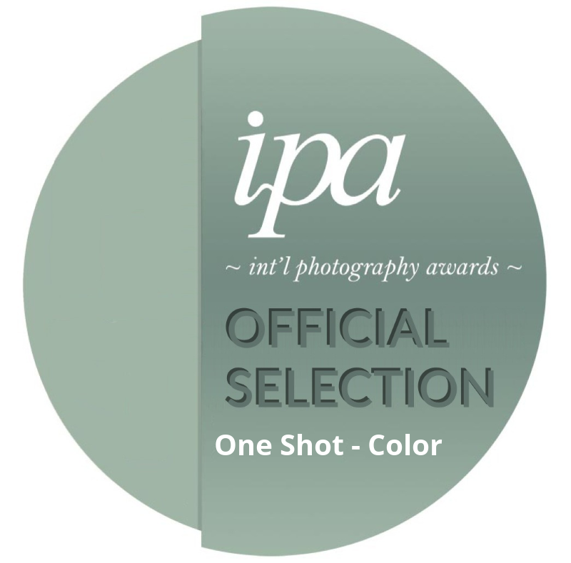 AWARDS AND RECOGNITIONS | AKHIL VINAYAK MENON PHOTOGRAPHY. Akhil Vinayak Menon Photography