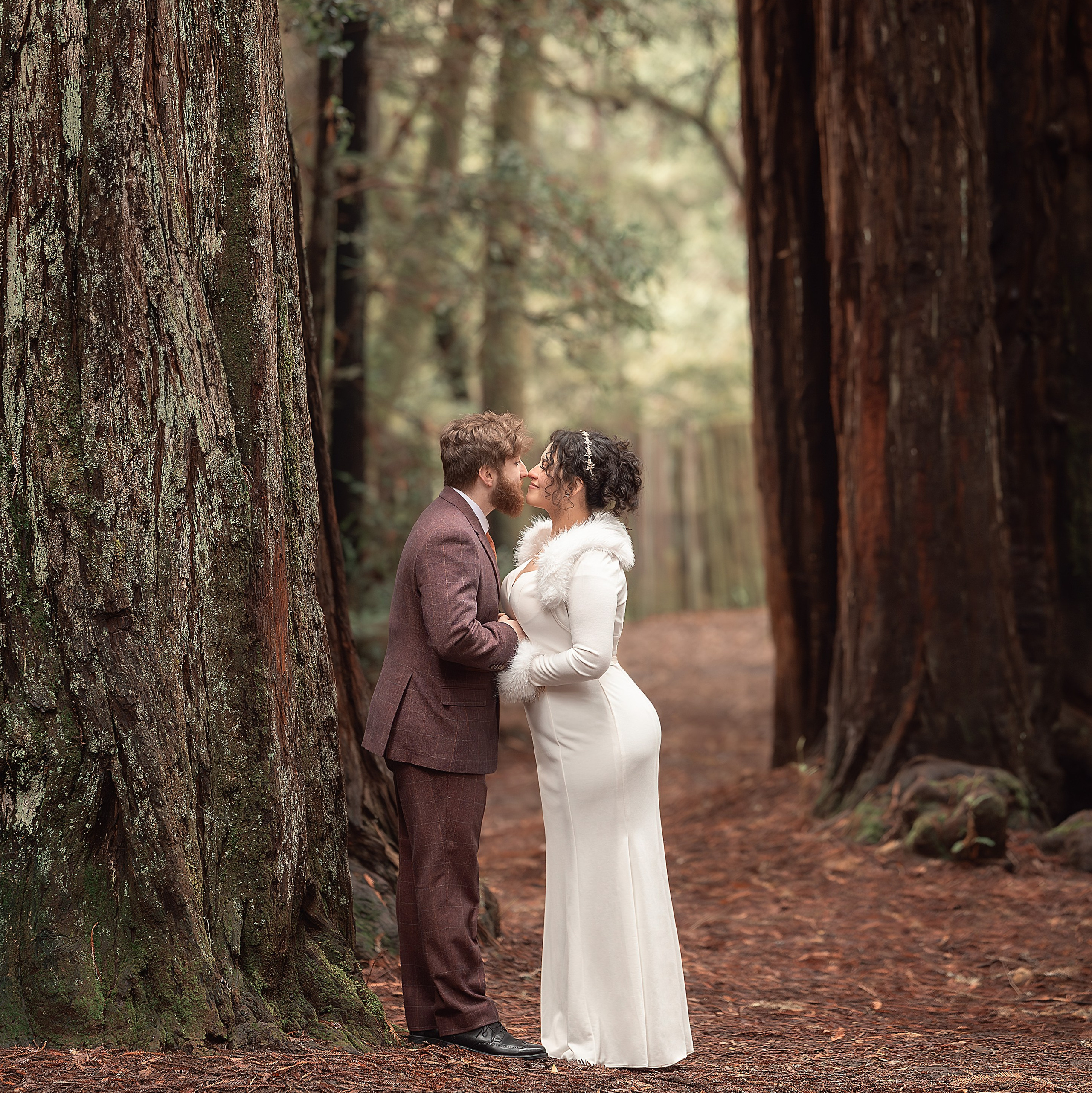 Couples & Families photographer in Bay Area, San Jose, California