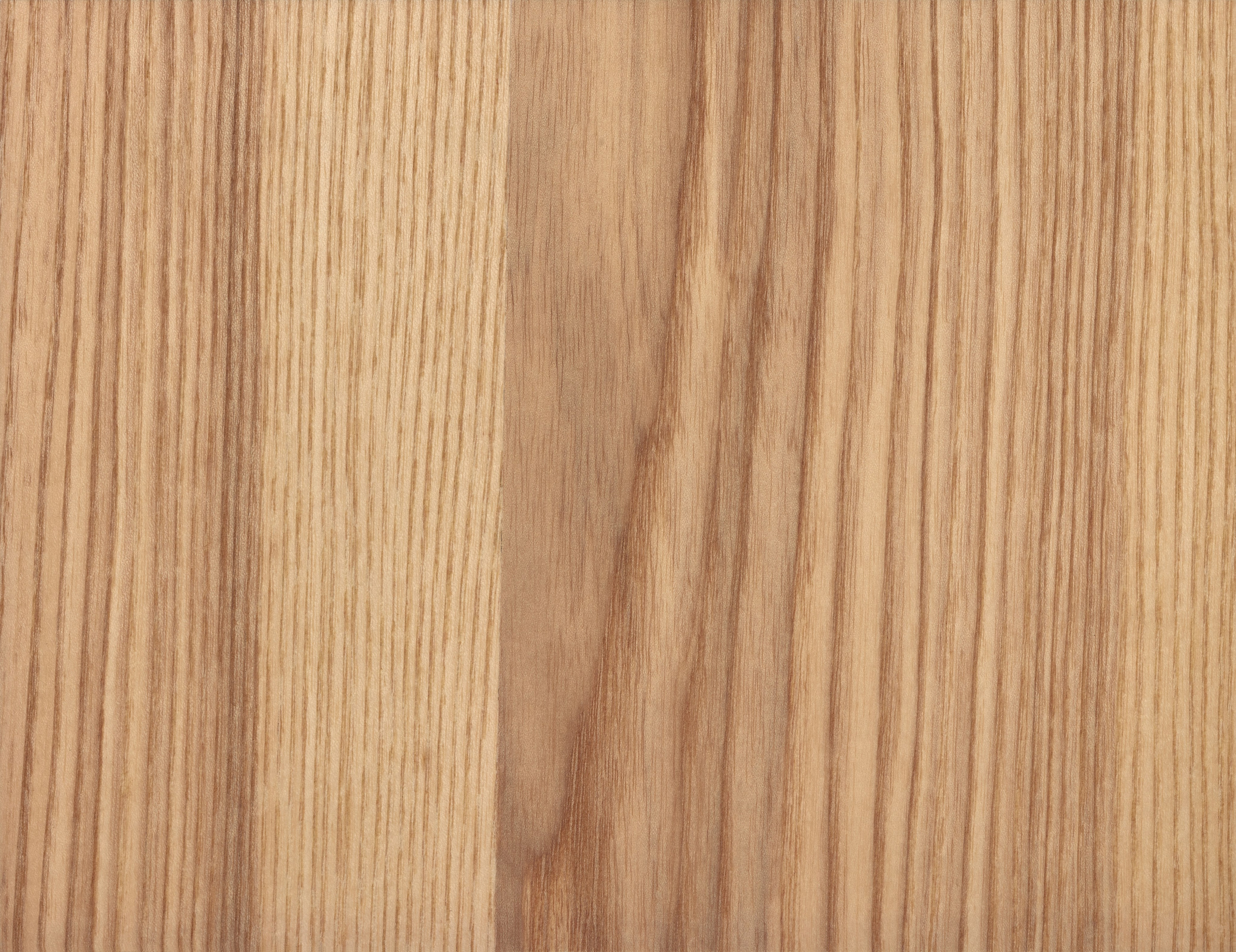 Bc3. Josep Gil - fotografia