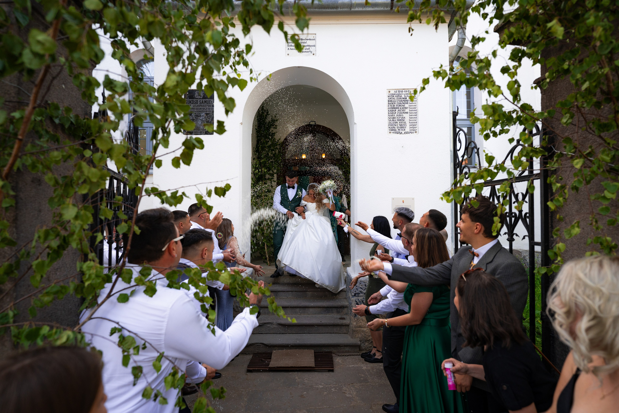 Szolgátatás csomagok/Pachete servicii