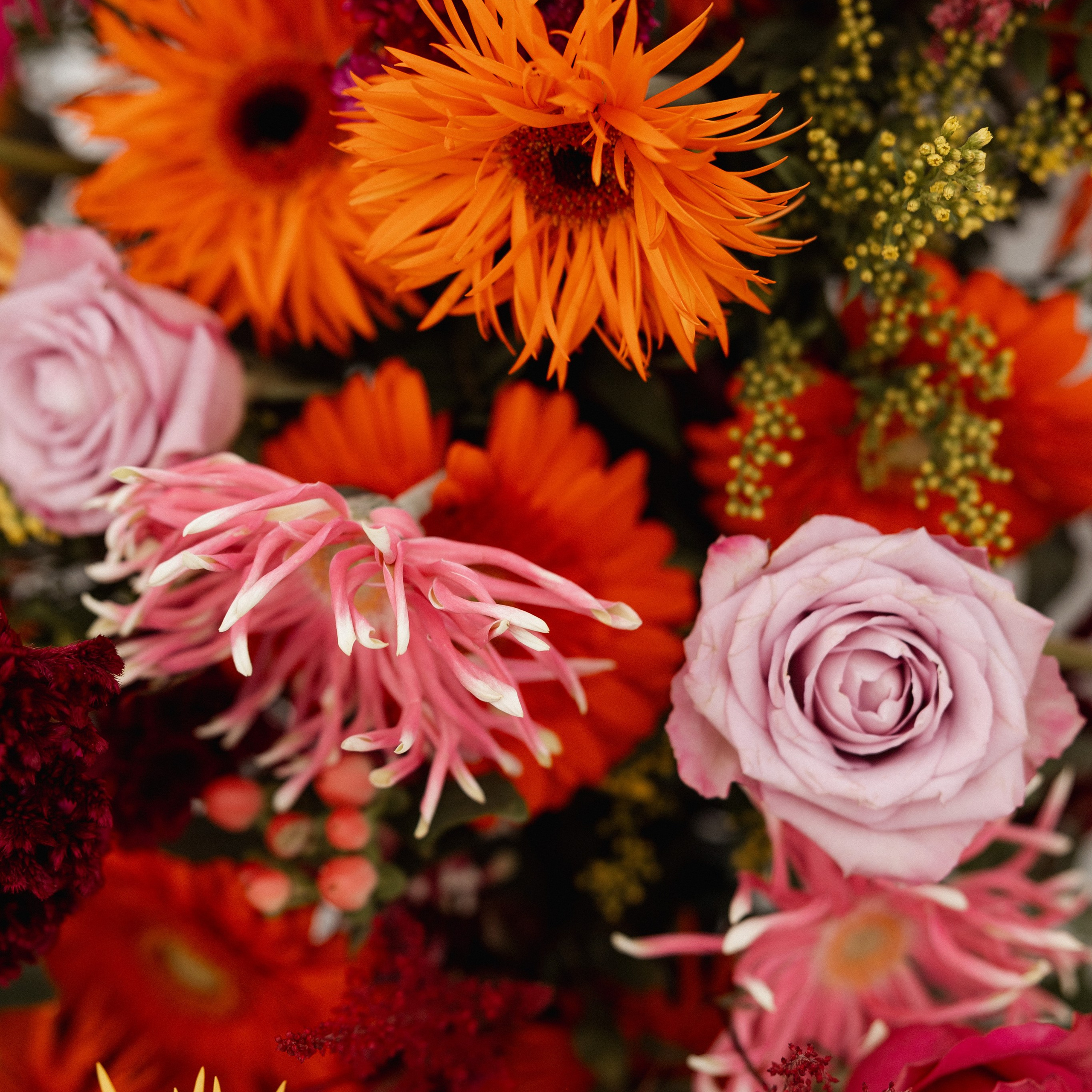 Zašto angažovati organizatora venčanja?. Wedding Photography And Film Studio Photo Factory