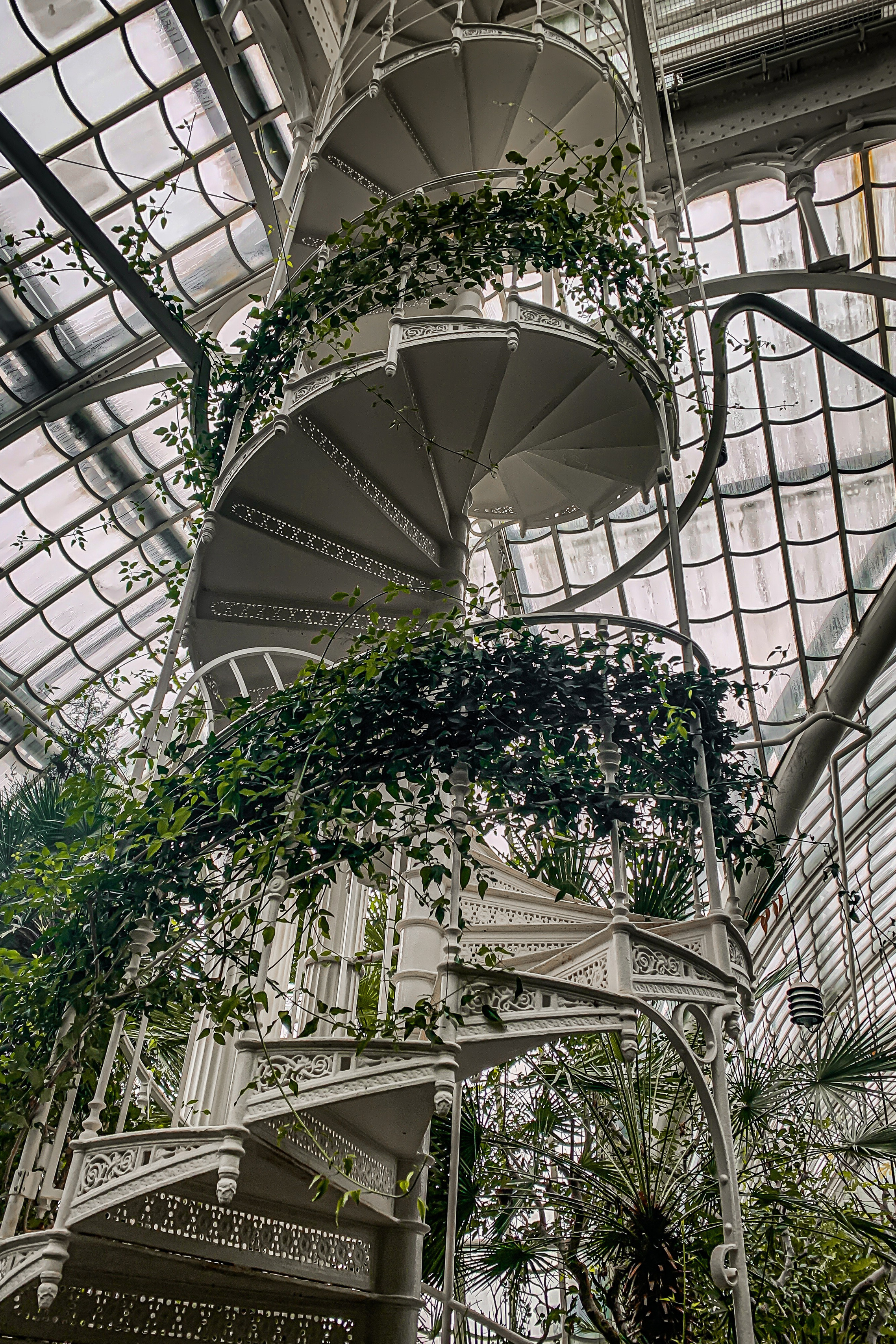Palm House Schönbrunn