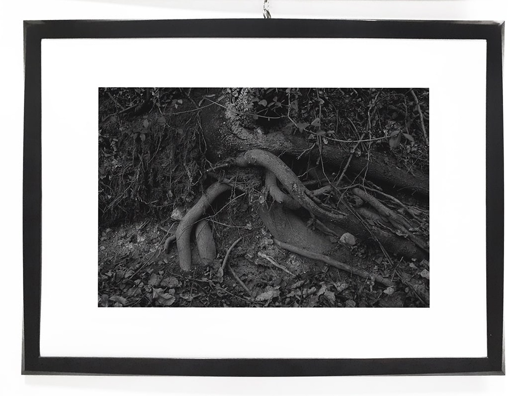 Installations. Visual artist