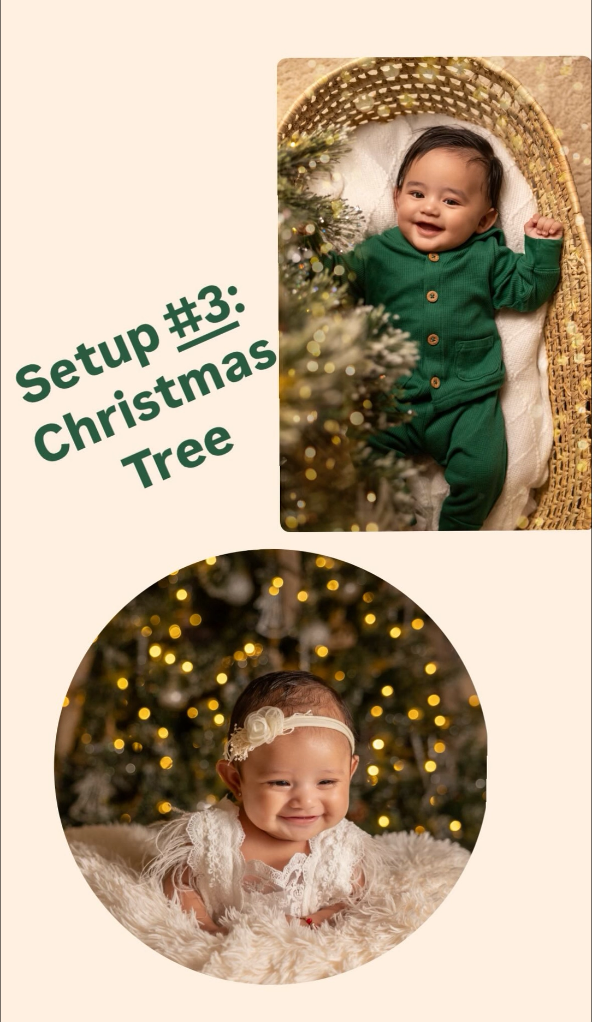 Christmas Specials. Newborn photographer in Tampa Bay Area, FL