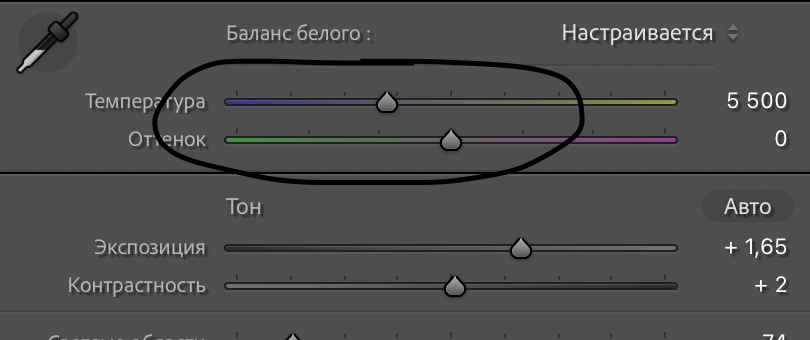 Конверсионные фильтры. Фотограф Григорий Кравец