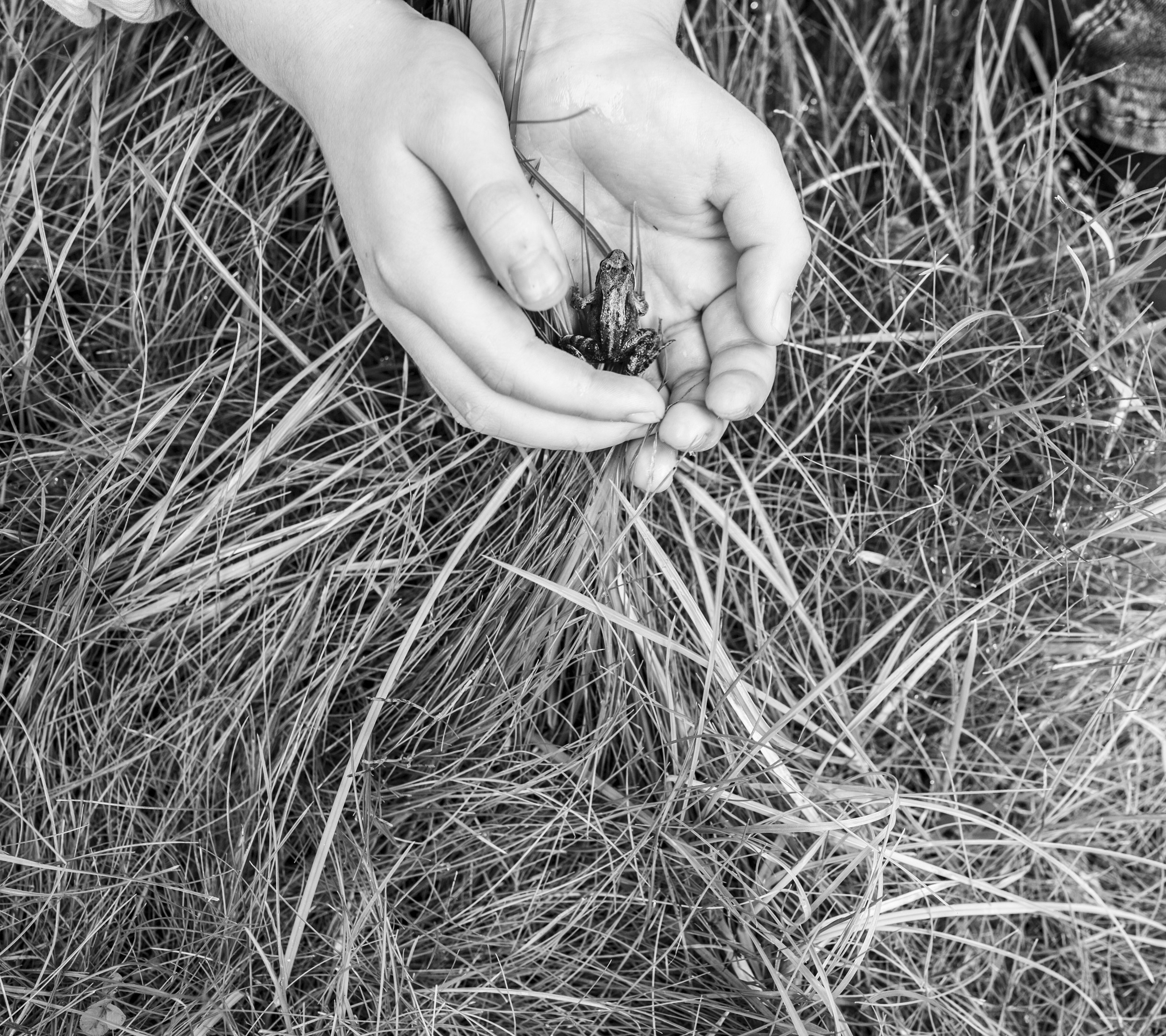 Students. Katya Bogachevskaya — independent curator, lecturer