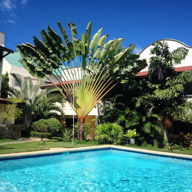 Wedding family photographer Alicante Benidorm Valencia Costa Blanca