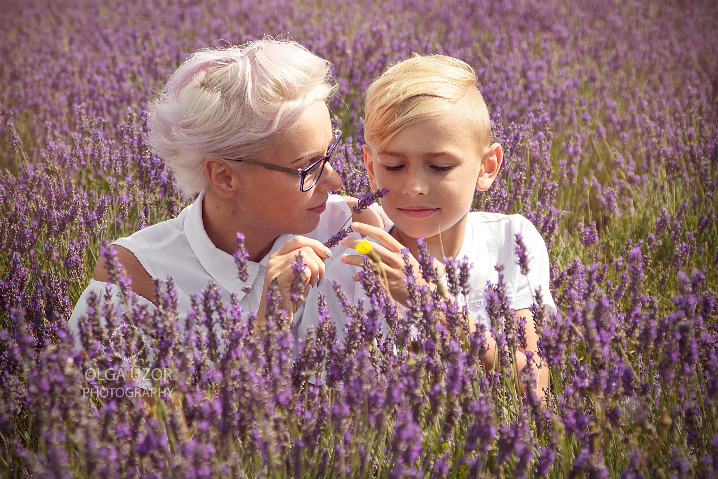 Hitchin Lavender photoshoot. Stevenage, Hertfordshire family and newborn photographer