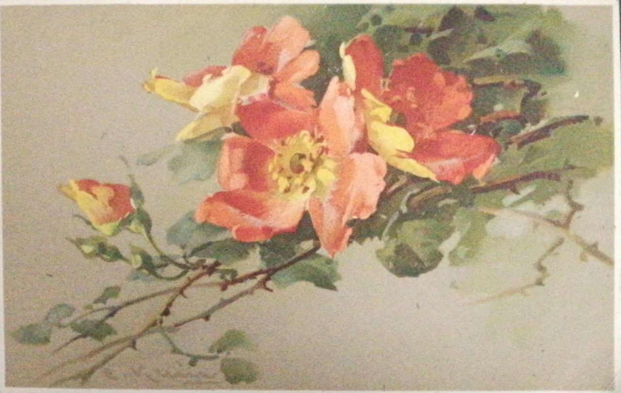 Старинные открытки-натюрморты Катарины Кляйн. Фотограф, коллекционер винтажных открыток и создатель историй на пересечении прошлого и личного. Ирина Дайнакова