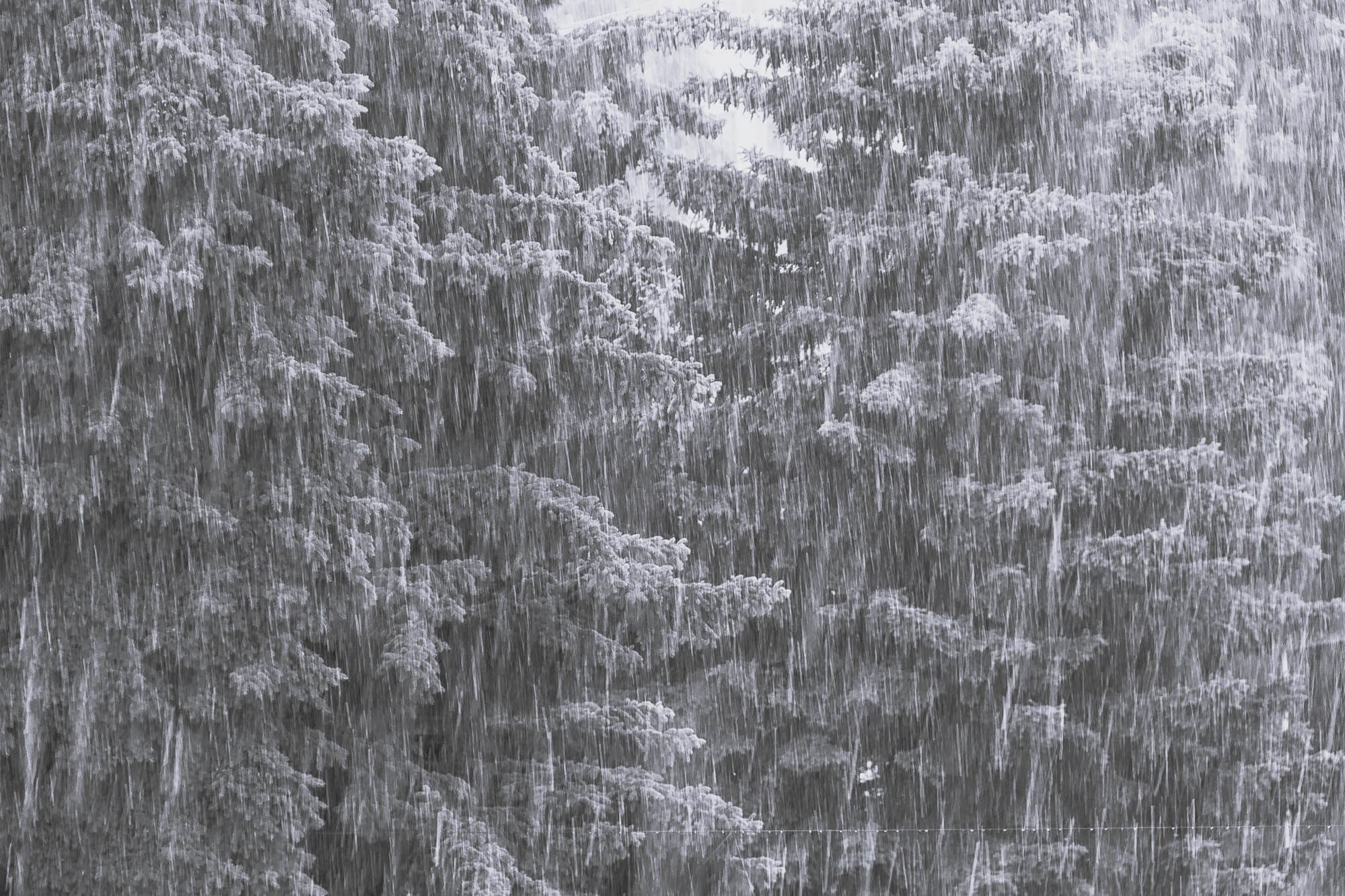 DOCULAB — Лаборатория документальной фотографии в Берлине