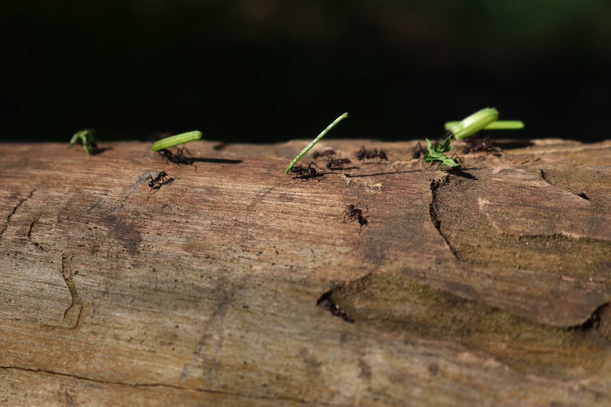 Poder interior. Proyecto fotográfico