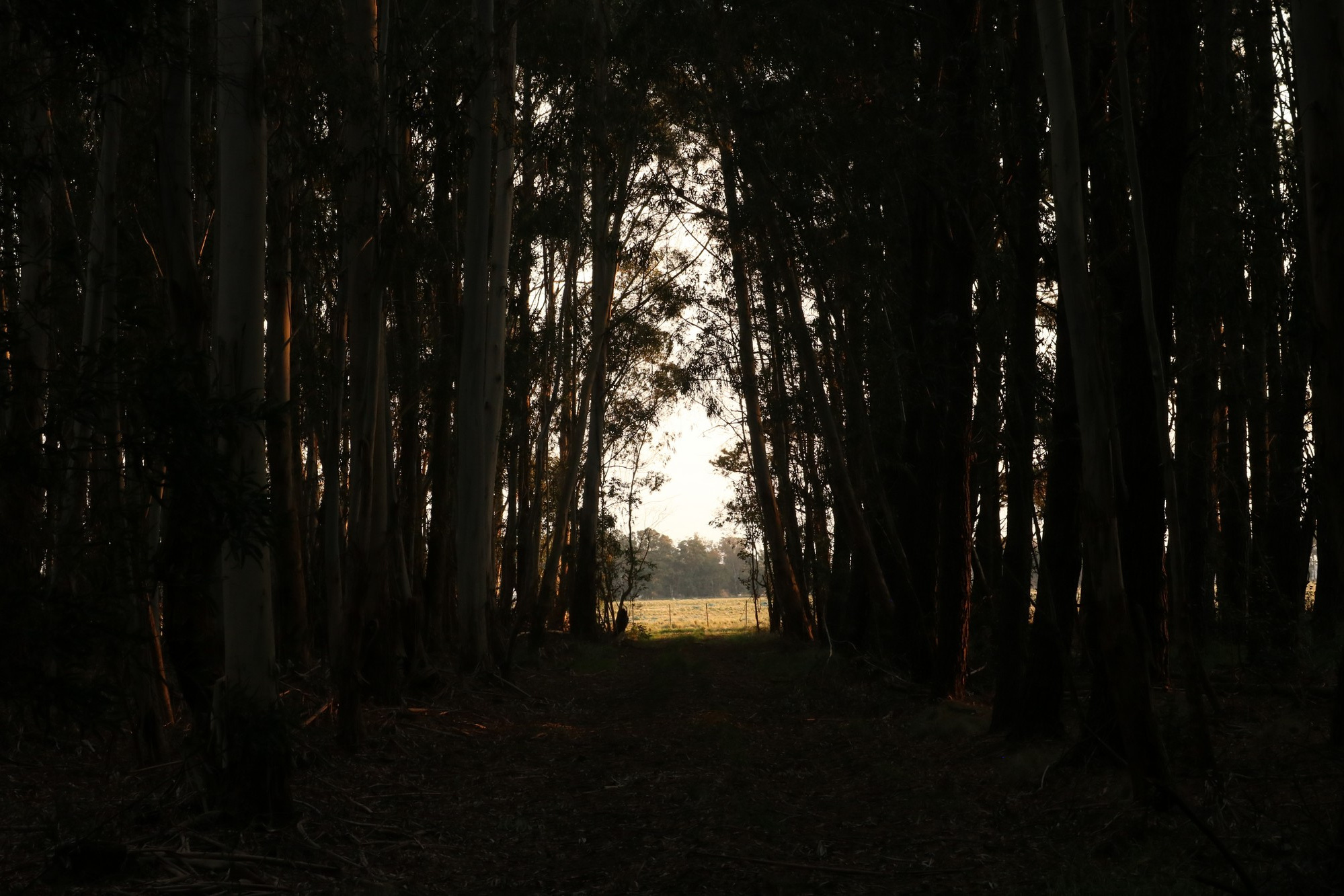 Poder interior. Proyecto fotográfico
