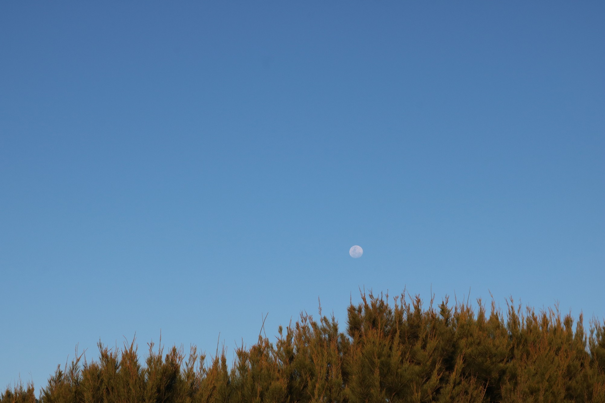 Poder interior. Proyecto fotográfico