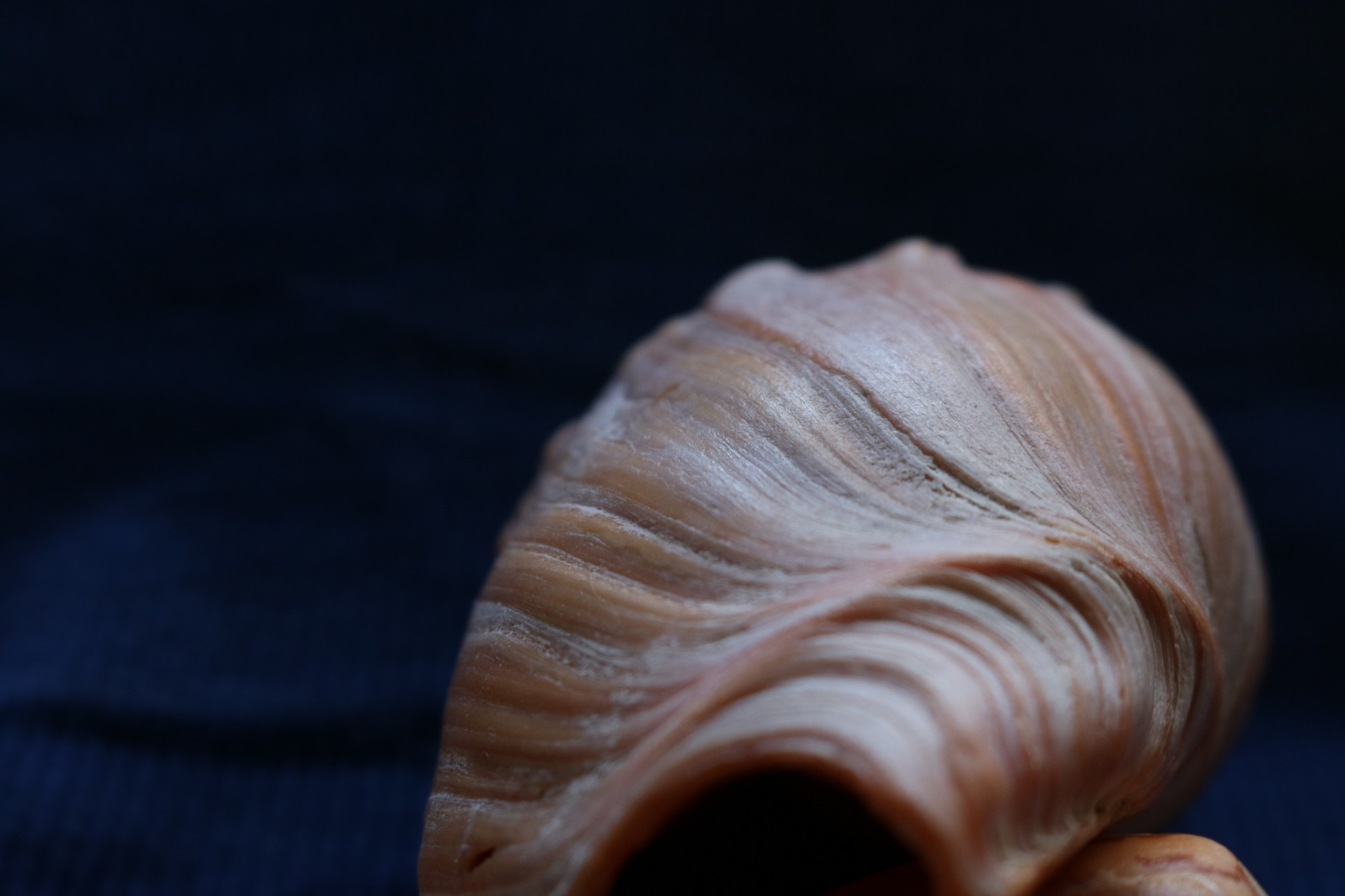 Poder interior. Proyecto fotográfico