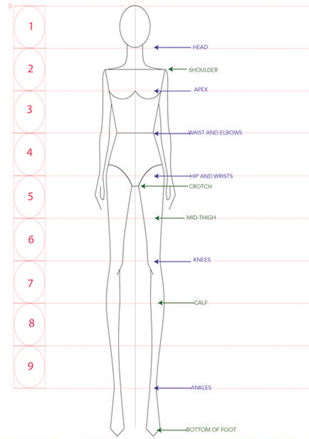 Почему мои рисунки всегда кривые?!. Школа современного искусства Лени Сморагдовой