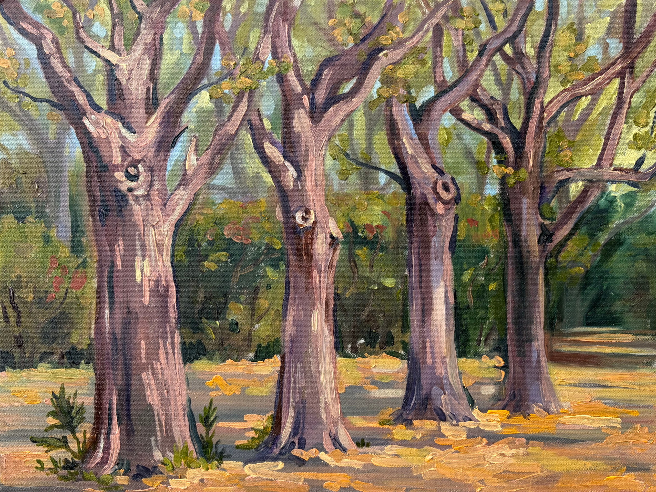 Galerie. Artiste Marina Semenova