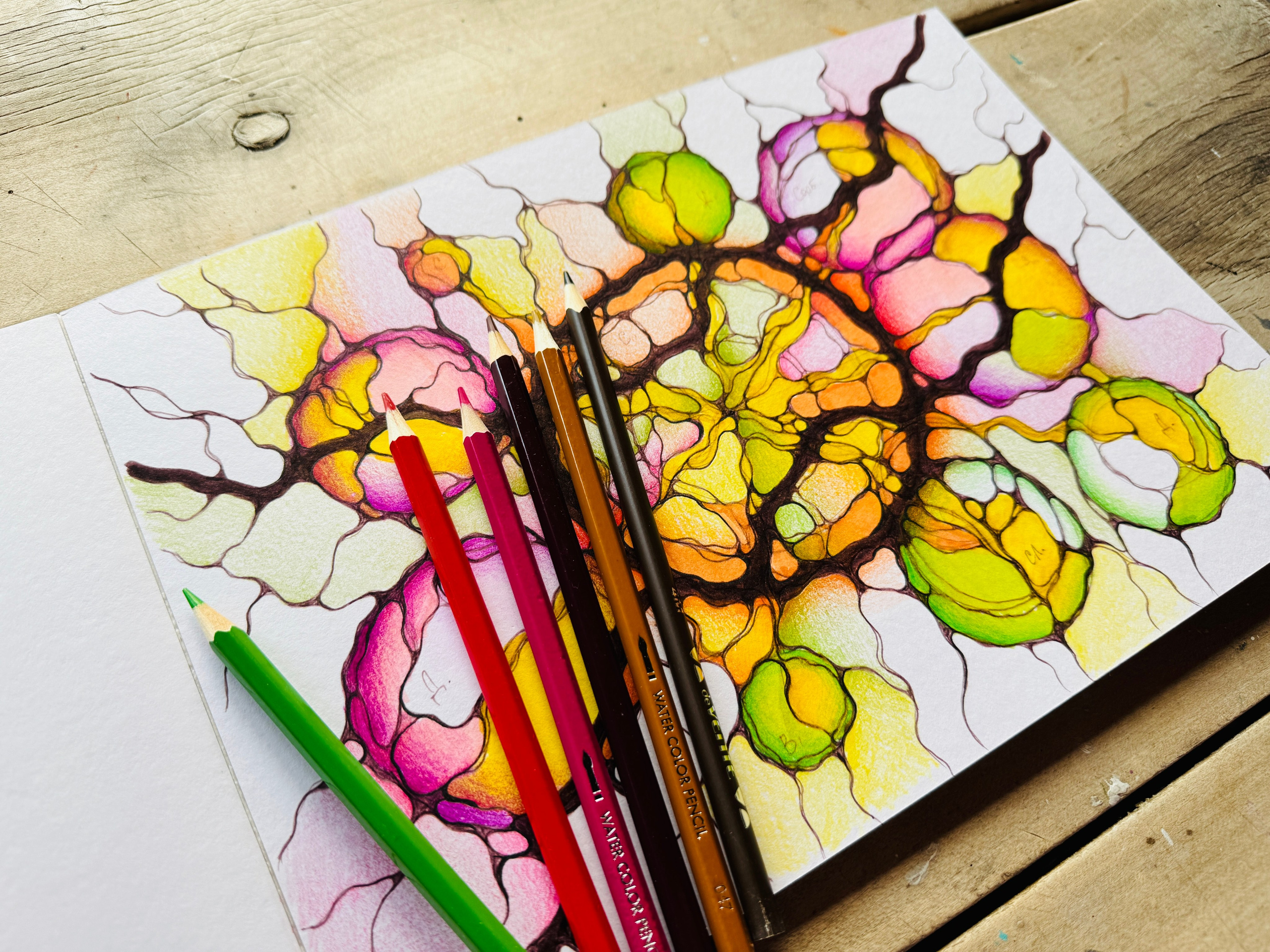 Urnik delavnic. Numerologija. Nevrografika. Delavnice