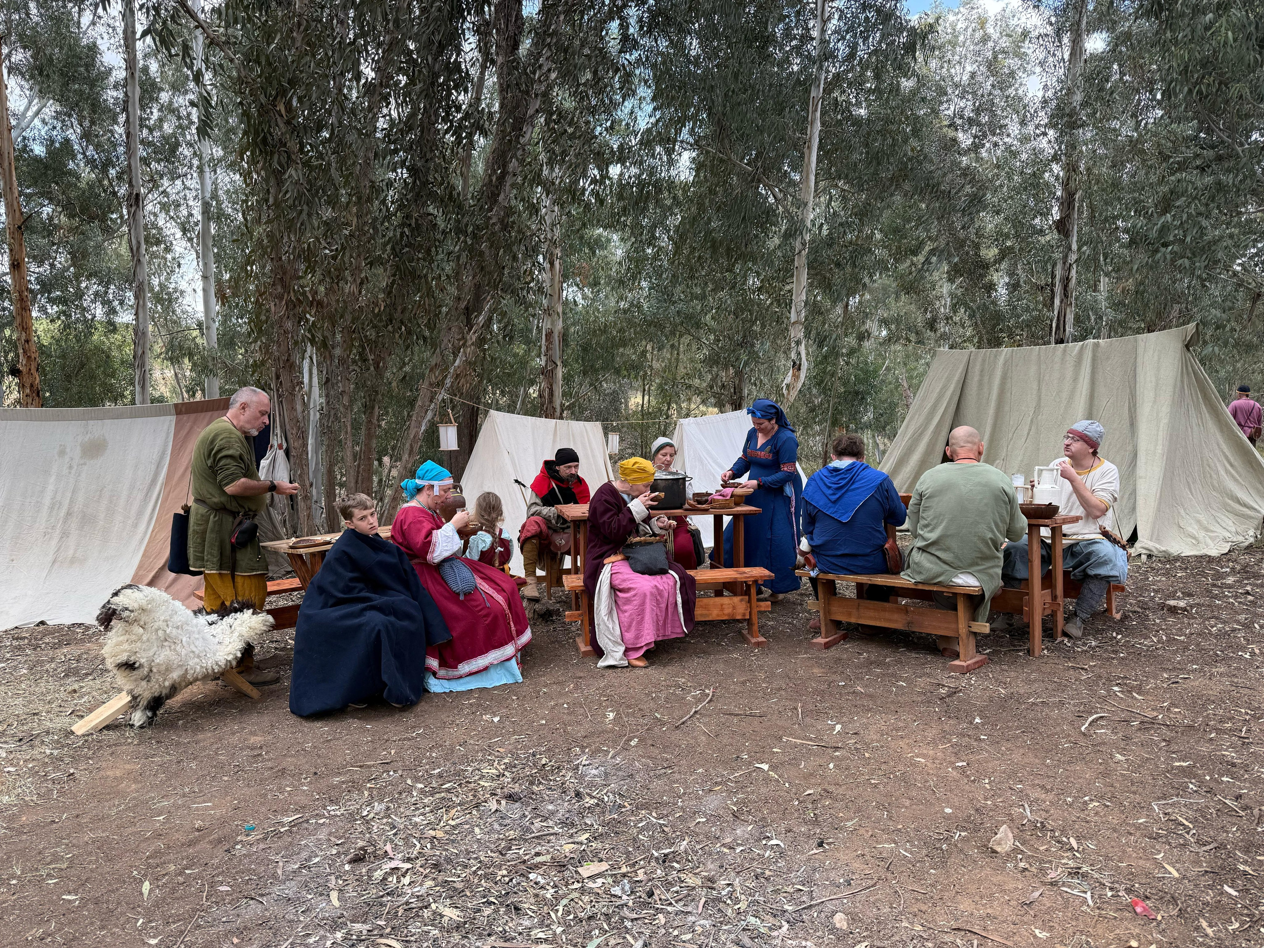 Кланы. מועדון השחזור ההיסטורי “נורטמן”
