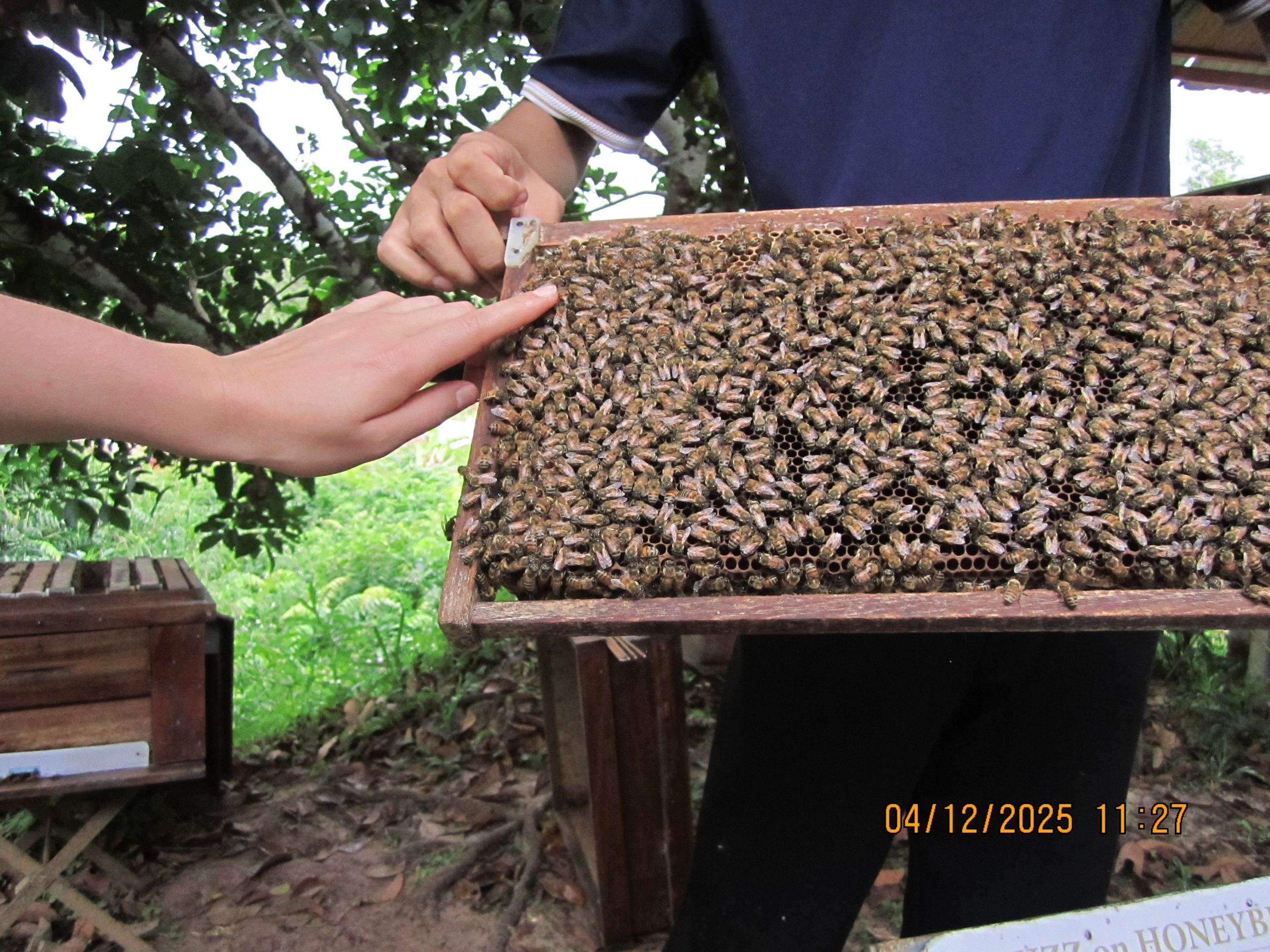 Десятый день. LondoSpeed Photography