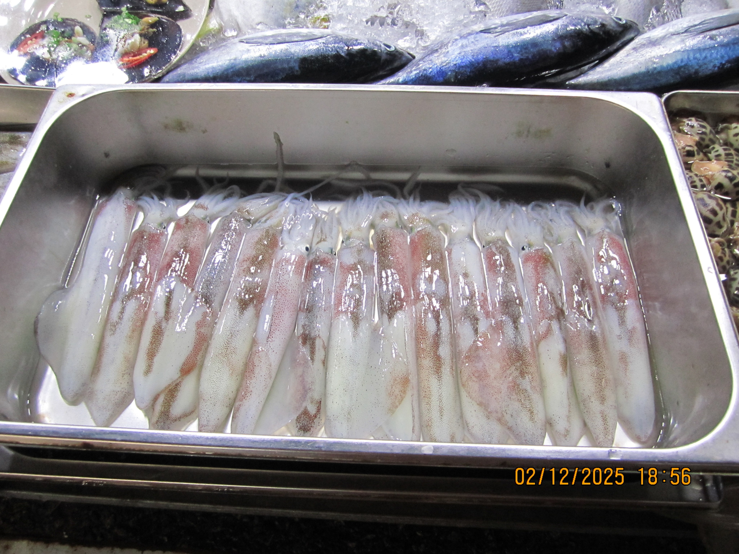 Восьмой день. LondoSpeed Photography