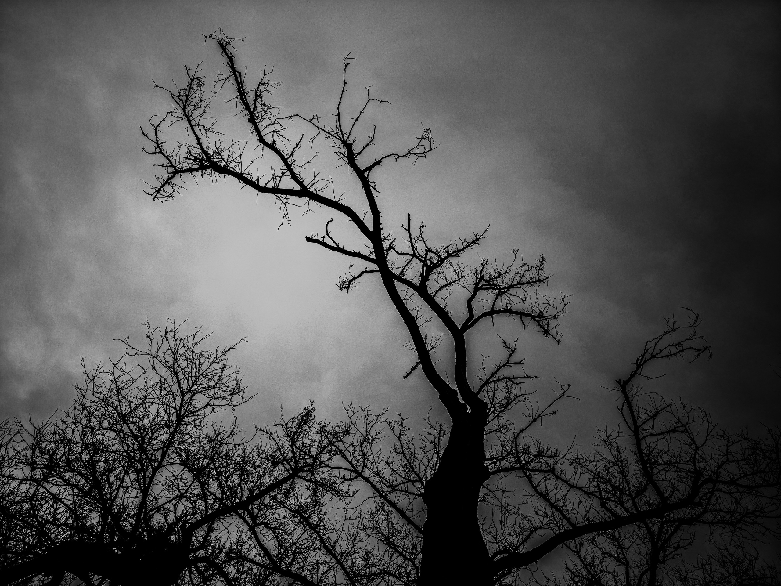 Currently on View: Monochrome at Aurea Photogallery. TAEYOUNG KANG | Fine Art Photographer