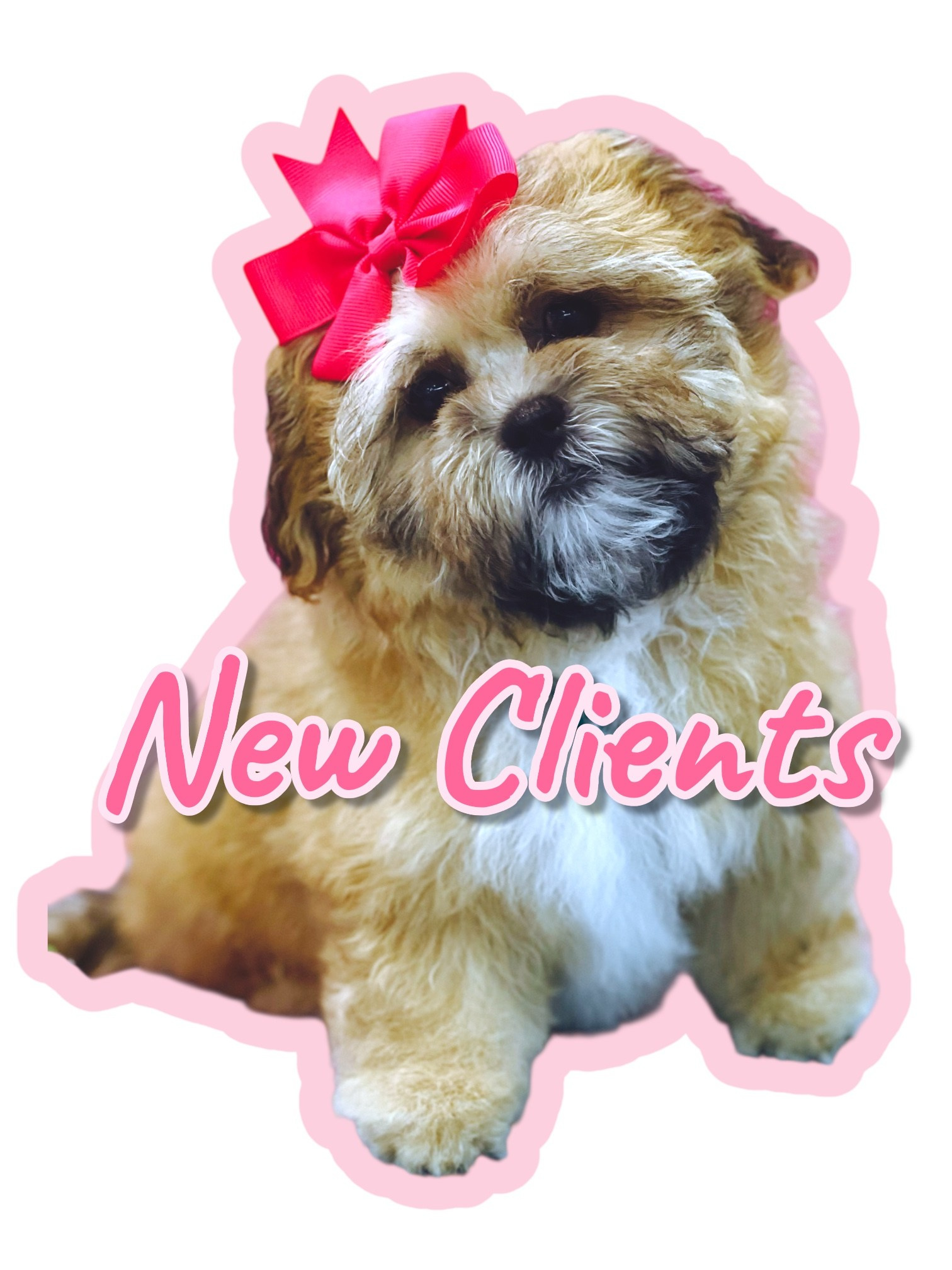 Doggie Stylz Pet Salon