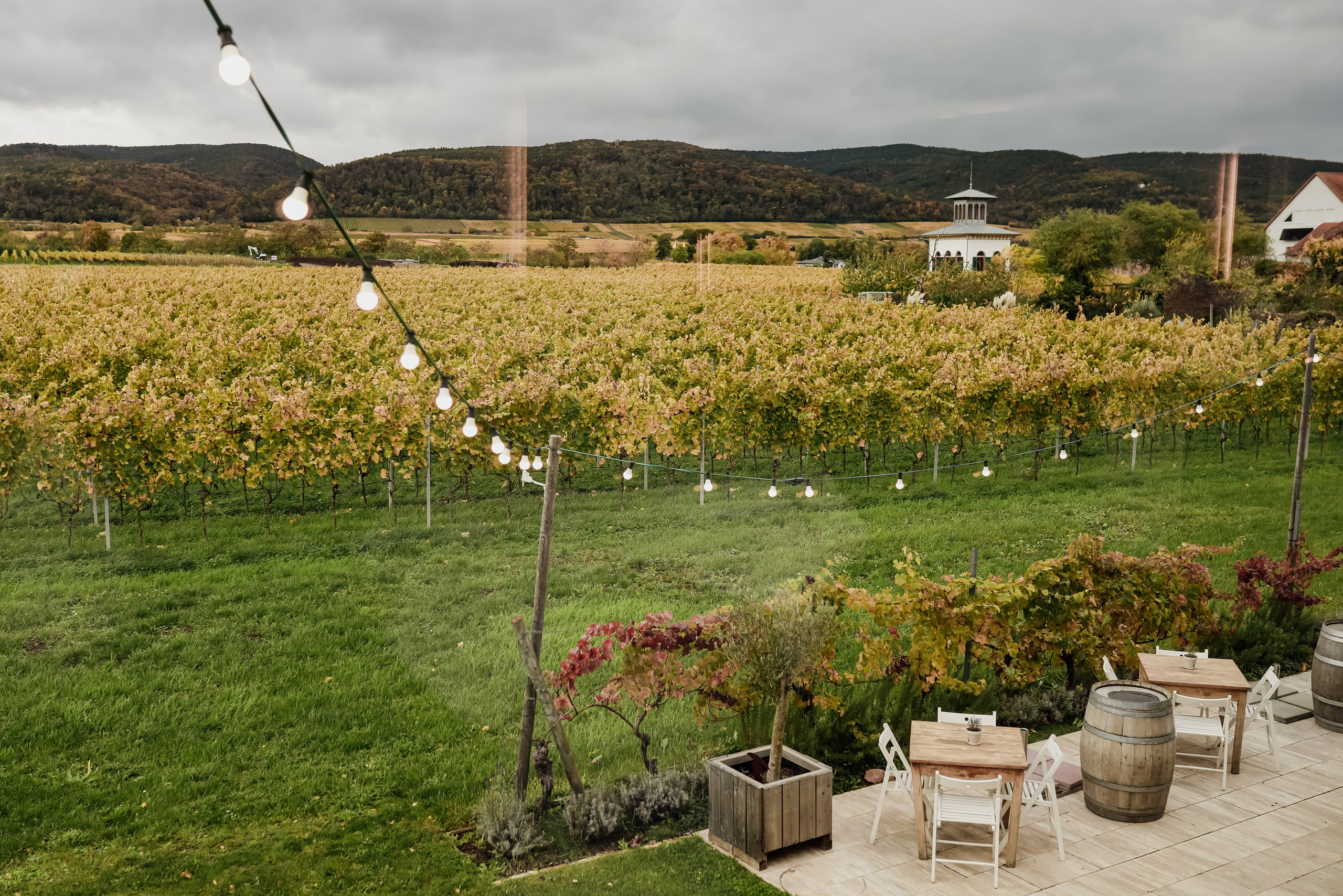 „Verliebtes Paar bei Sonnenuntergang in Neustadt an der Weinstraße – Hochzeitsfotografie Pfalz“