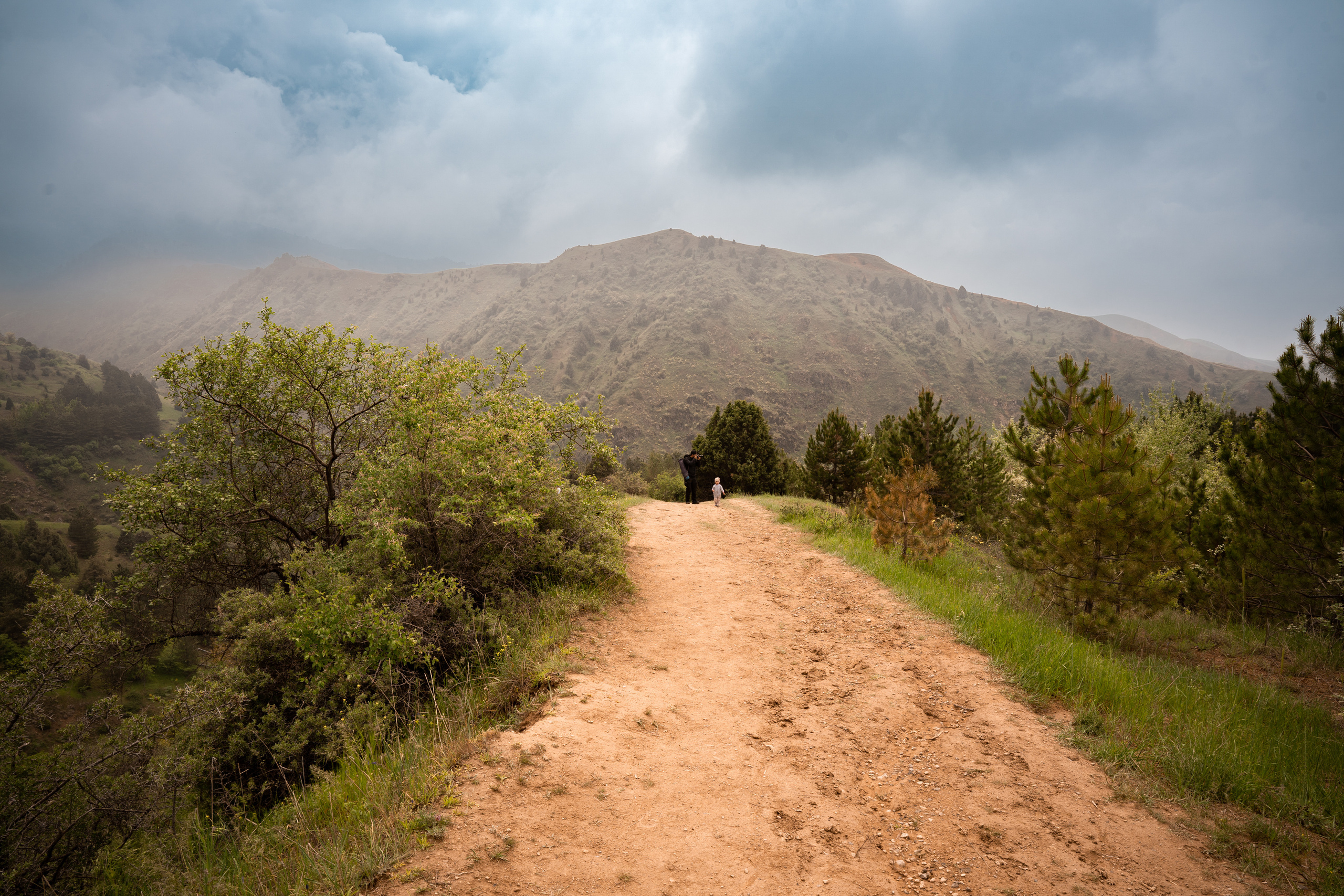 Мягкий или жесткий свет?. Фотограф Григорий Кравец