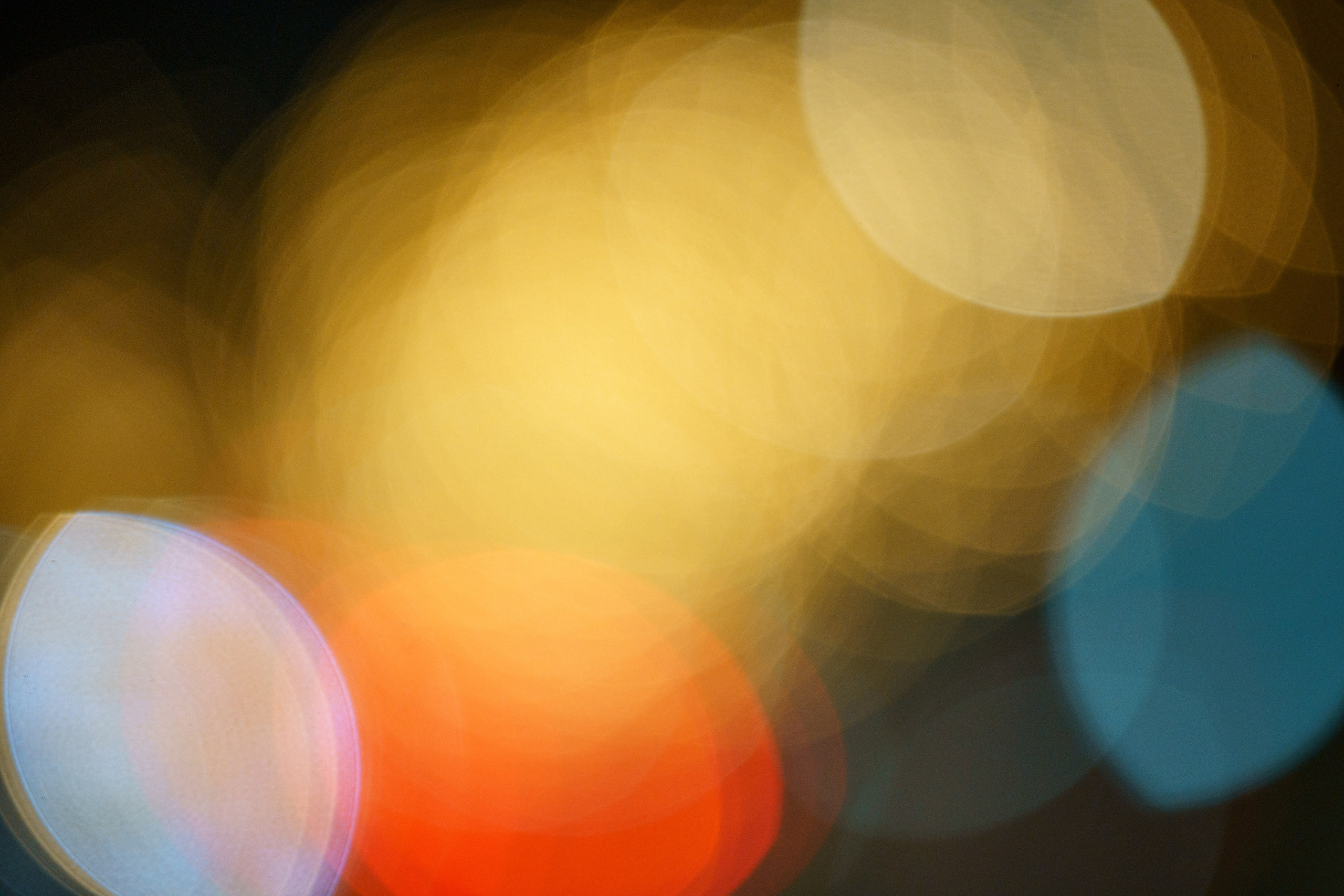 Sigma 70-200 DG DN OS. Фотограф Григорий Кравец